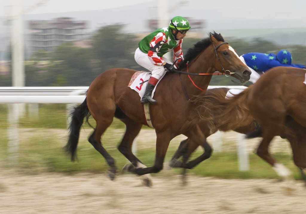 Horse Racing - iStock_000026596003_Medium