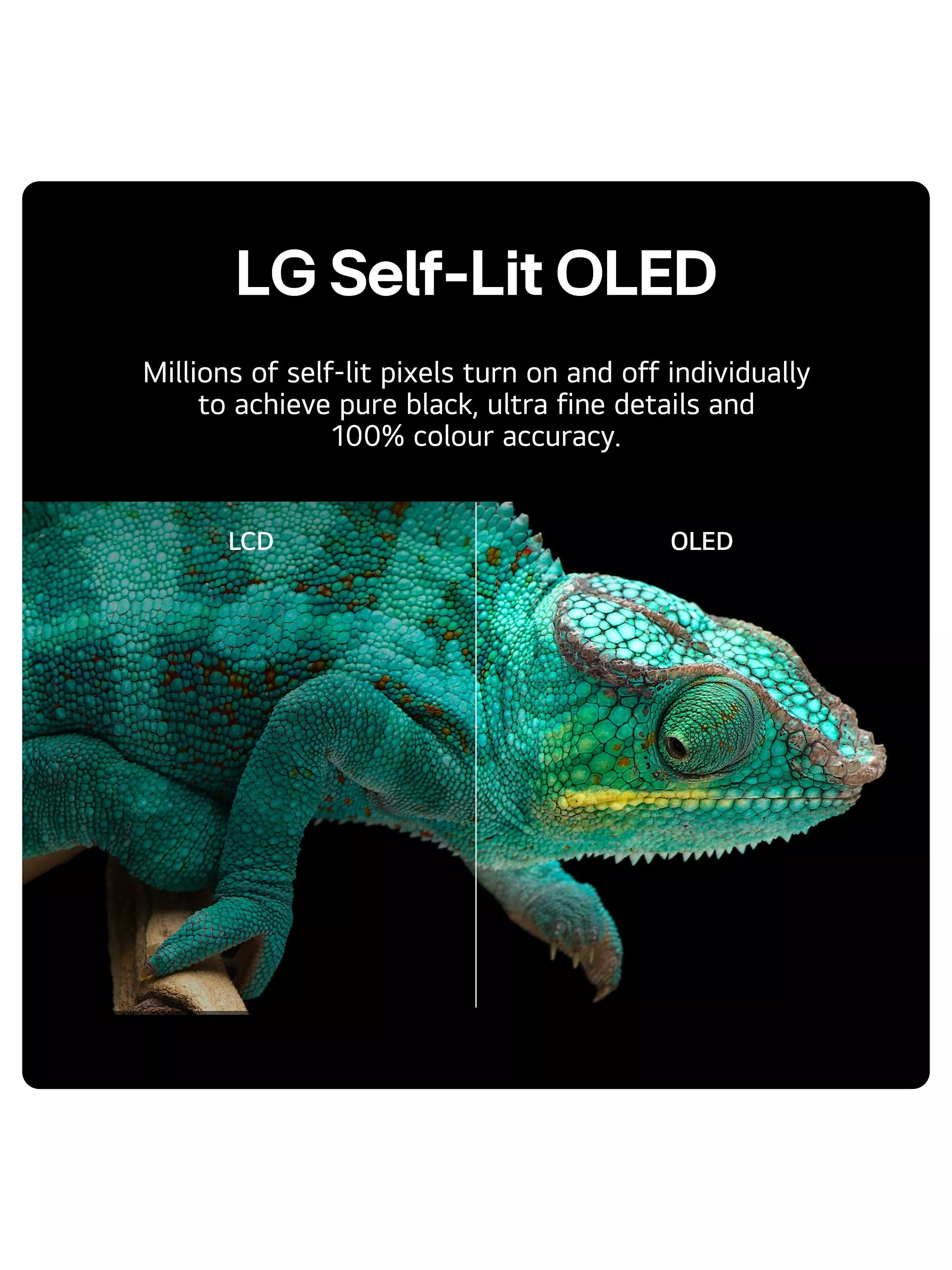 65" LG OLED65B42LA 4K HDR Smart OLED TV - Electronic World TV