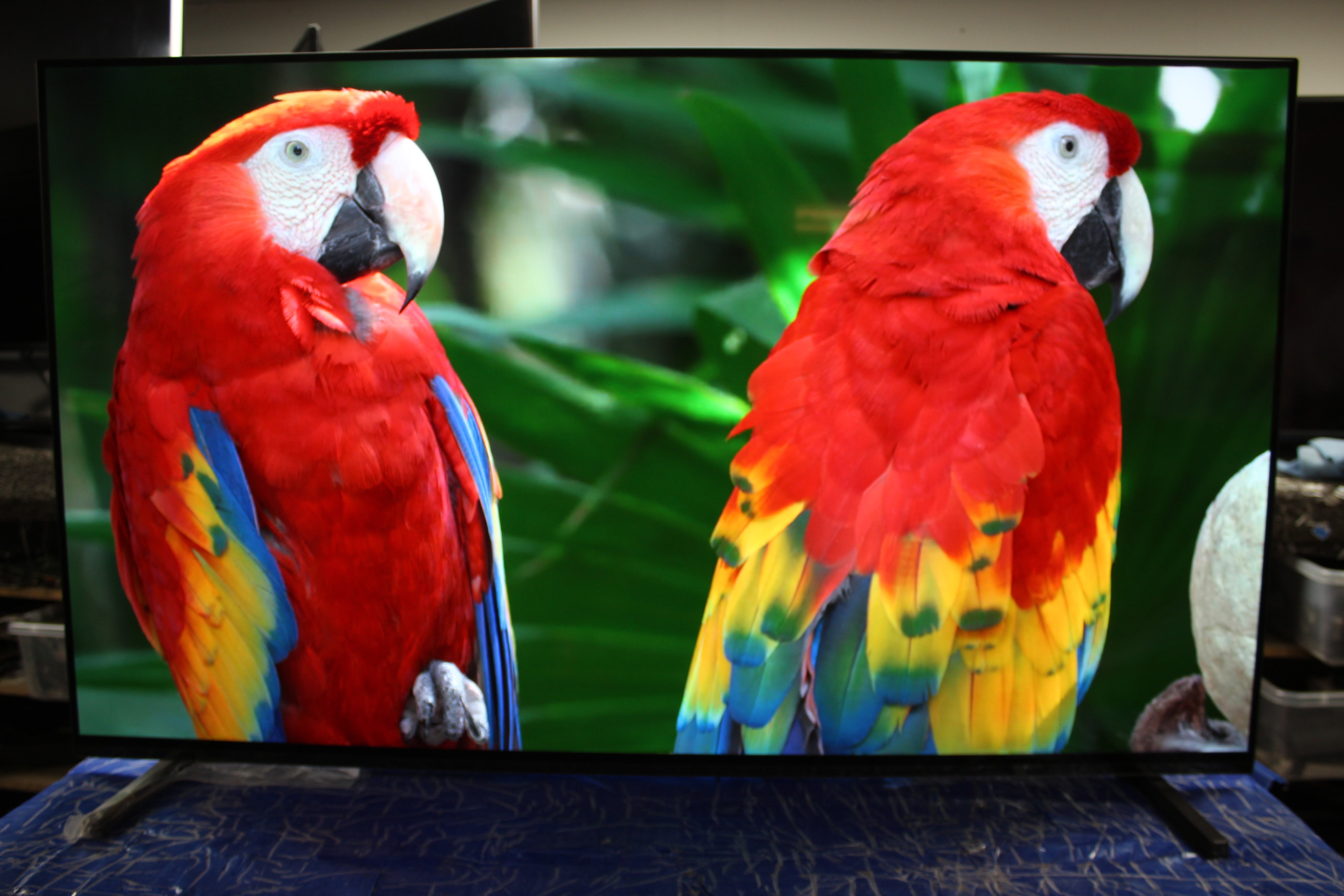 55" Sony Bravia XR55A84JU 4K HDR Google Smart OLED TV
