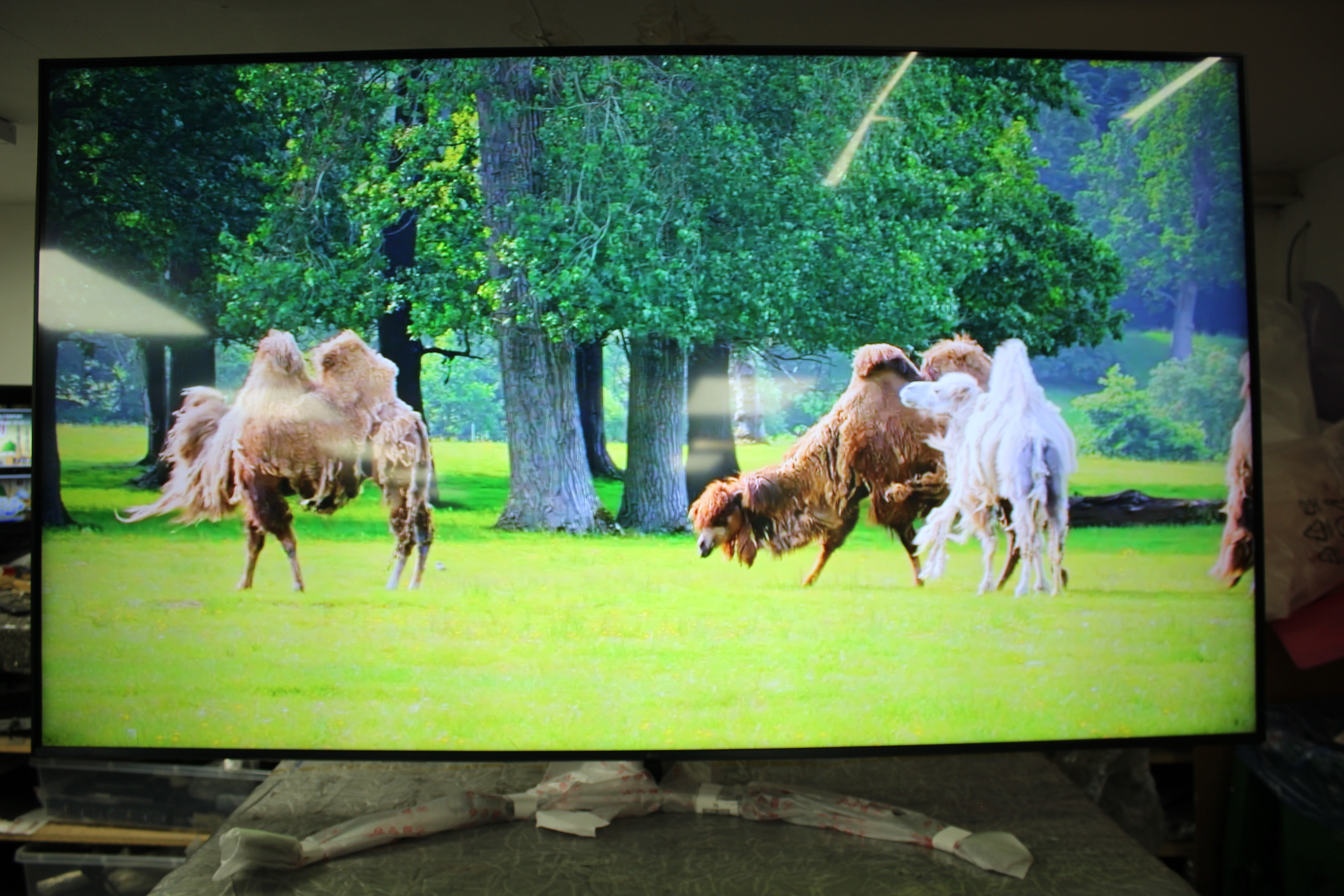 75" LG 75UR81006LJ 4K Ultra HD HDR Smart LED TV