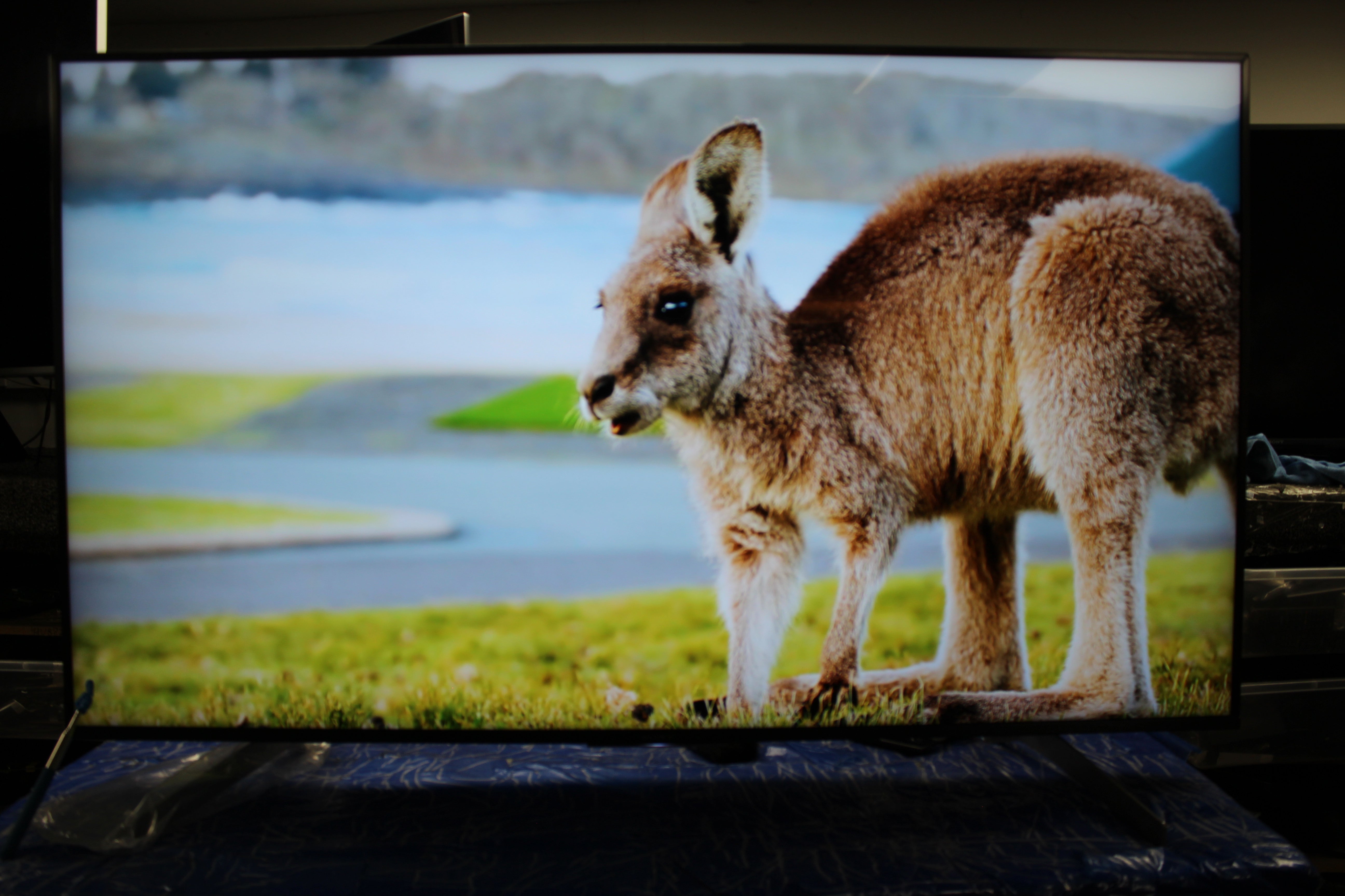 55" Sony Bravia KD55XG8505BU 4K Ultra HD HDR Android Smart LED TV