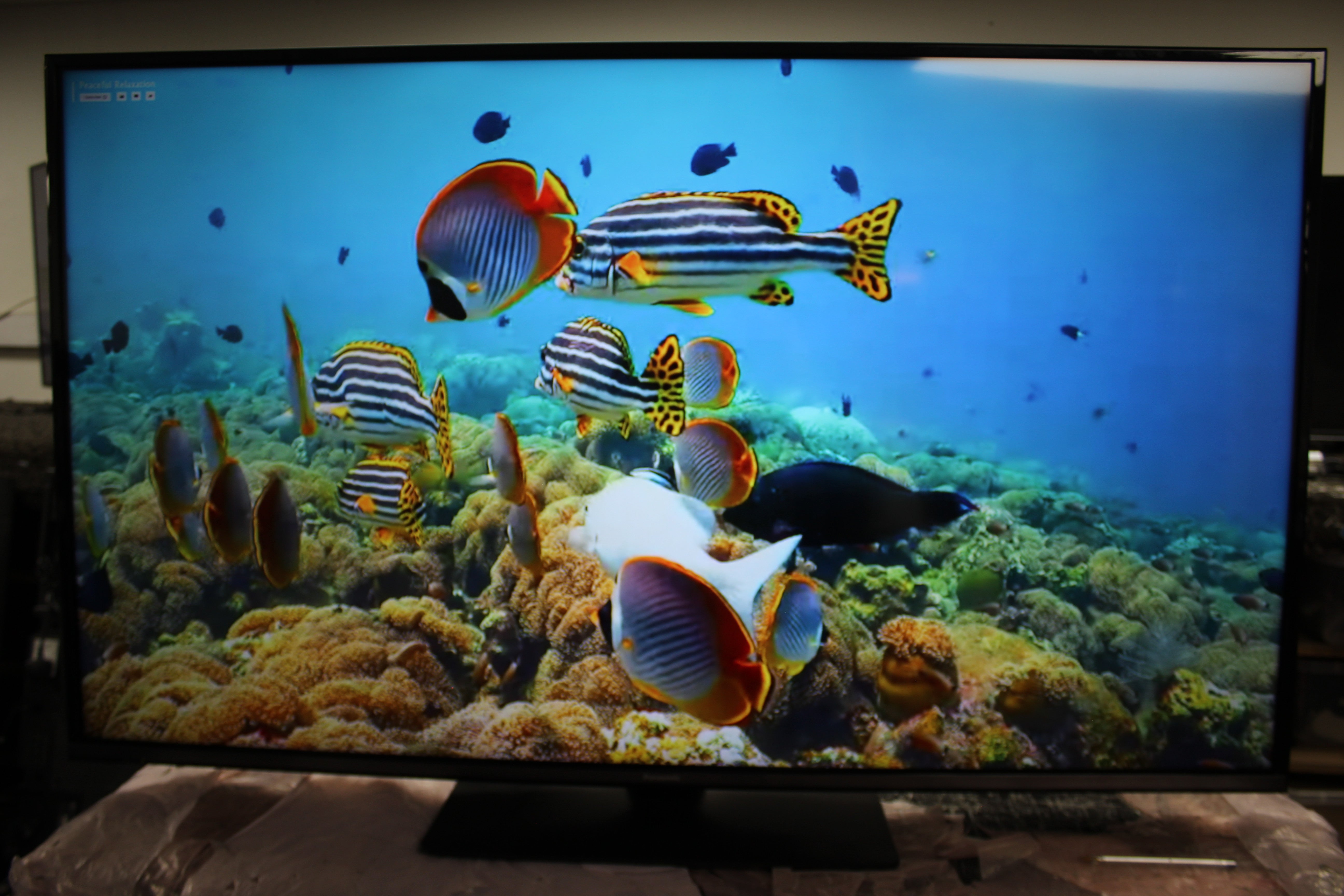 55" Panasonic TX-55GX555B 4K Ultra HD HDR Smart LED TV - Electronic World TV