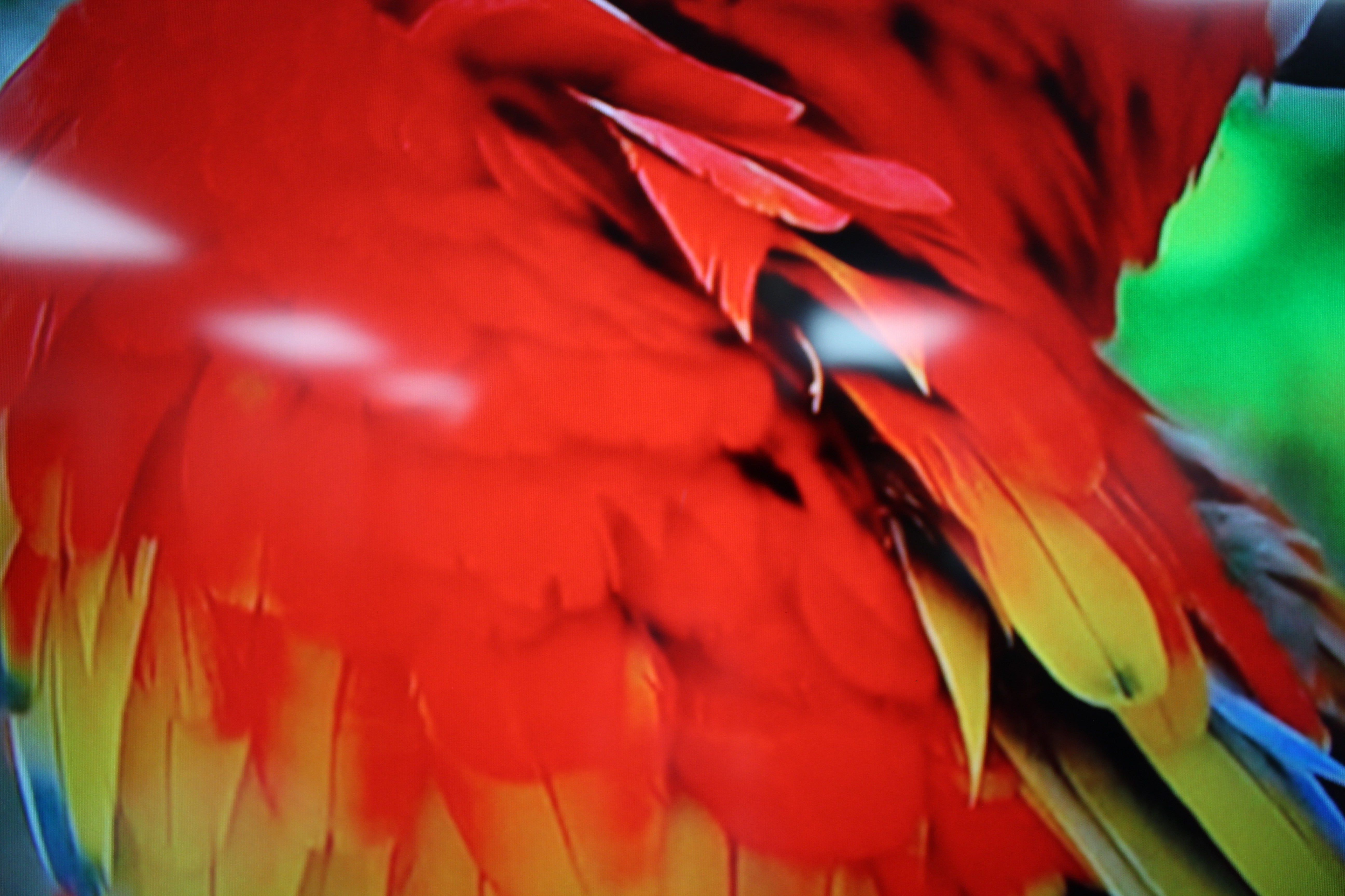 60" Samsung UE60JU6800 4K Nano Crystal Smart LED TV - Electronic World TV