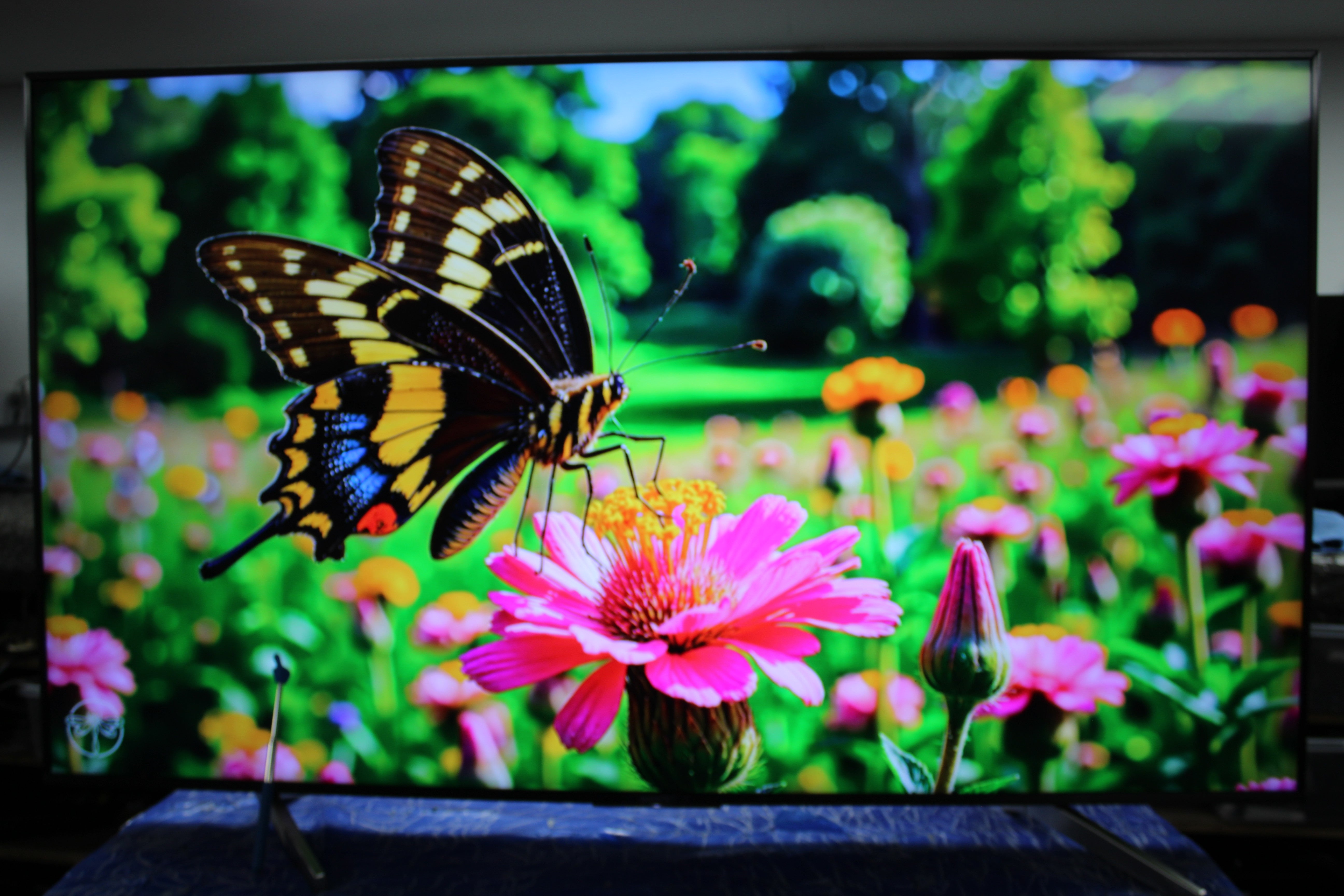 65" Sony KD65XF8796BU 4K Ultra HD Android Smart HDR LED TV
