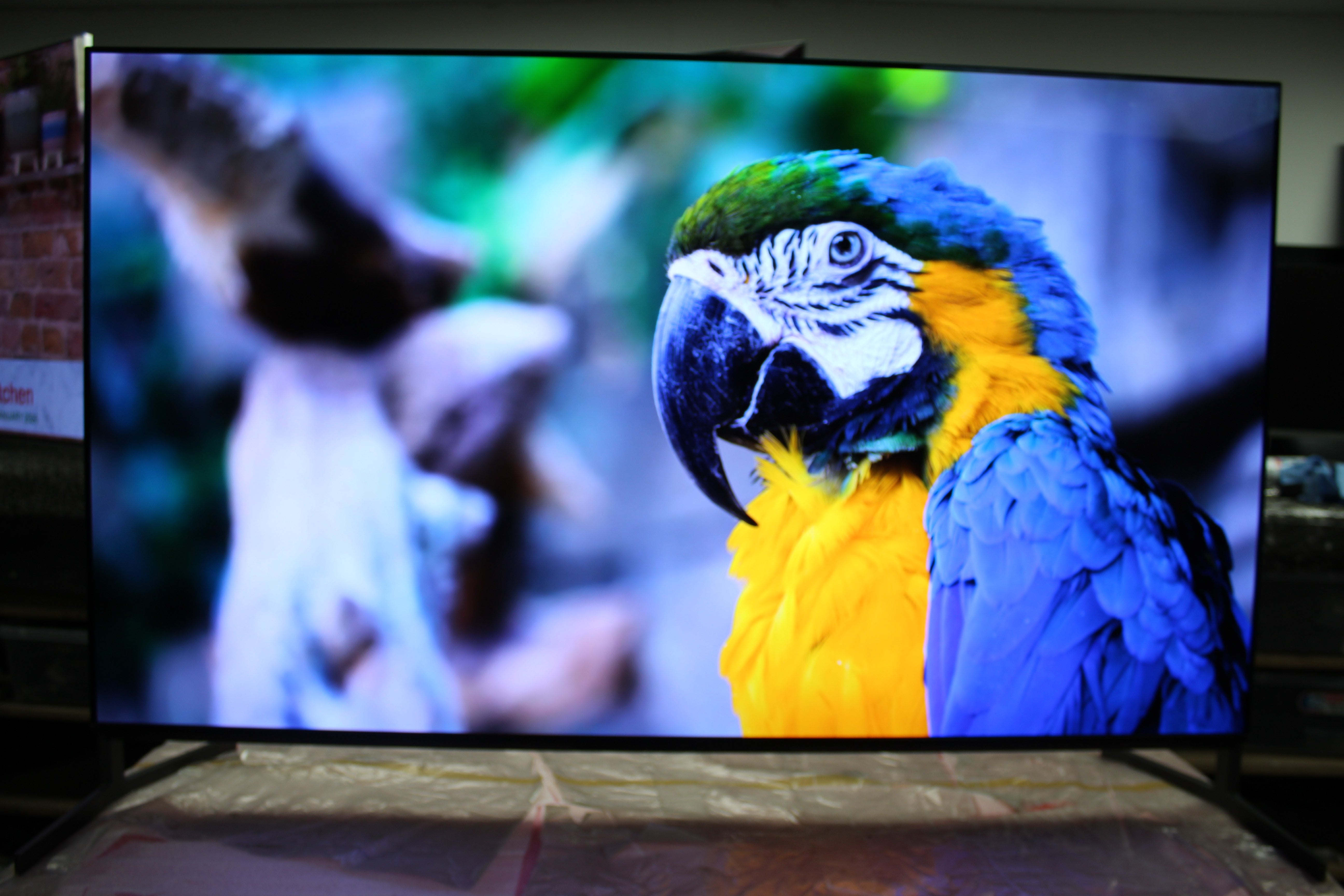 55" Sony Bravia XR55A95LU 4K HDR Google Smart OLED TV