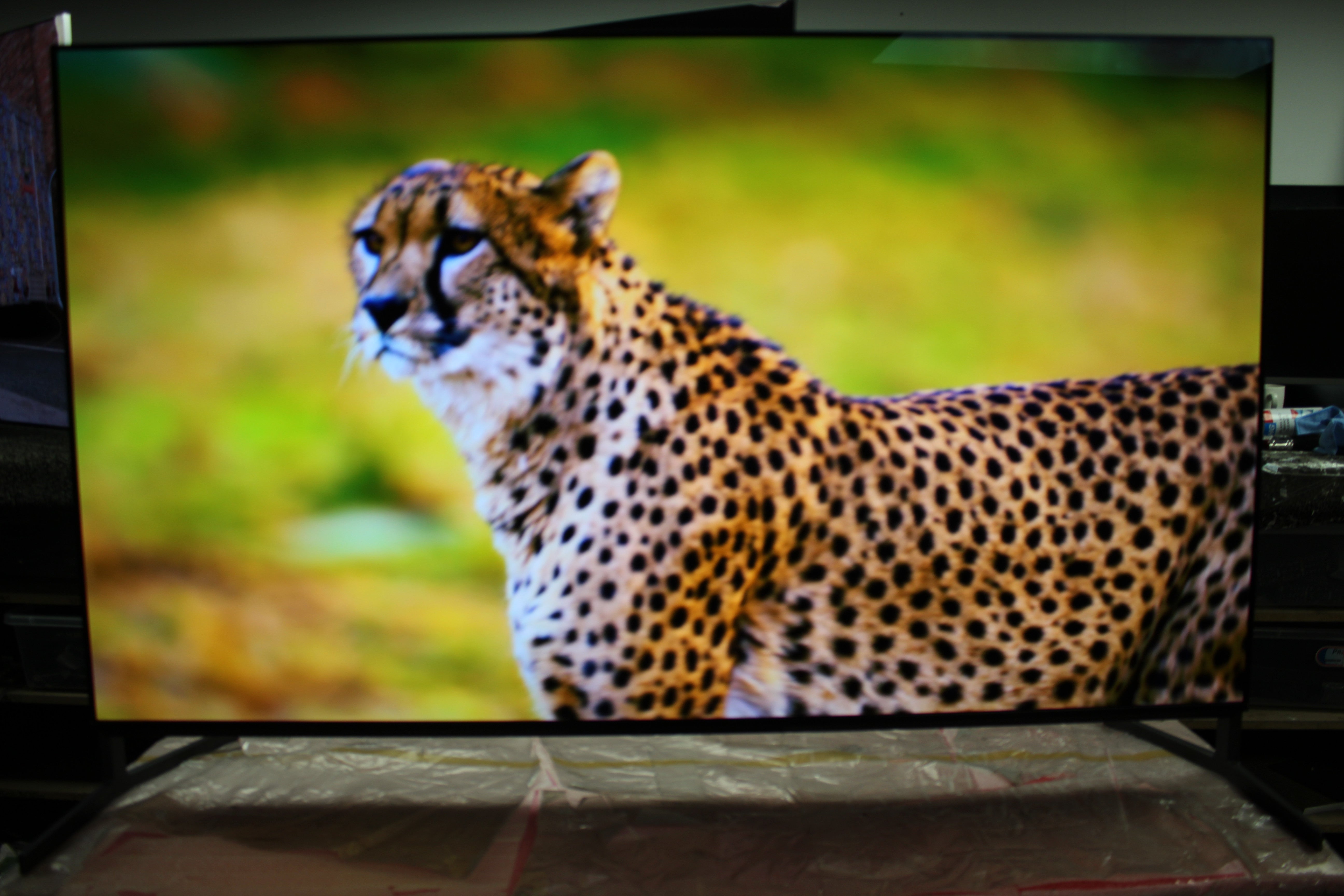 55" Sony Bravia XR55A95LU 4K HDR Google Smart OLED TV