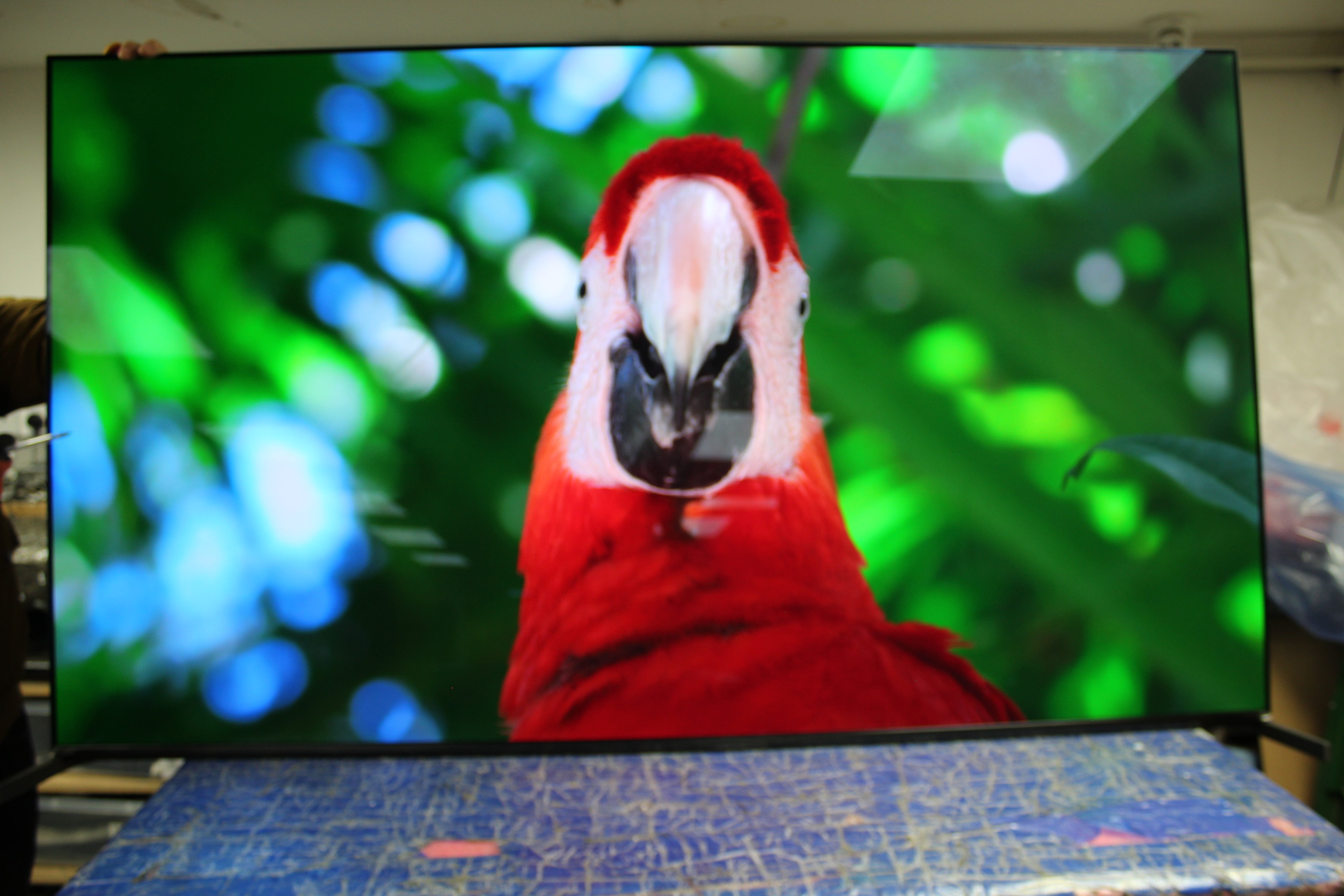 65" Sony Bravia XR65A95LU 4K HDR Google Smart OLED TV