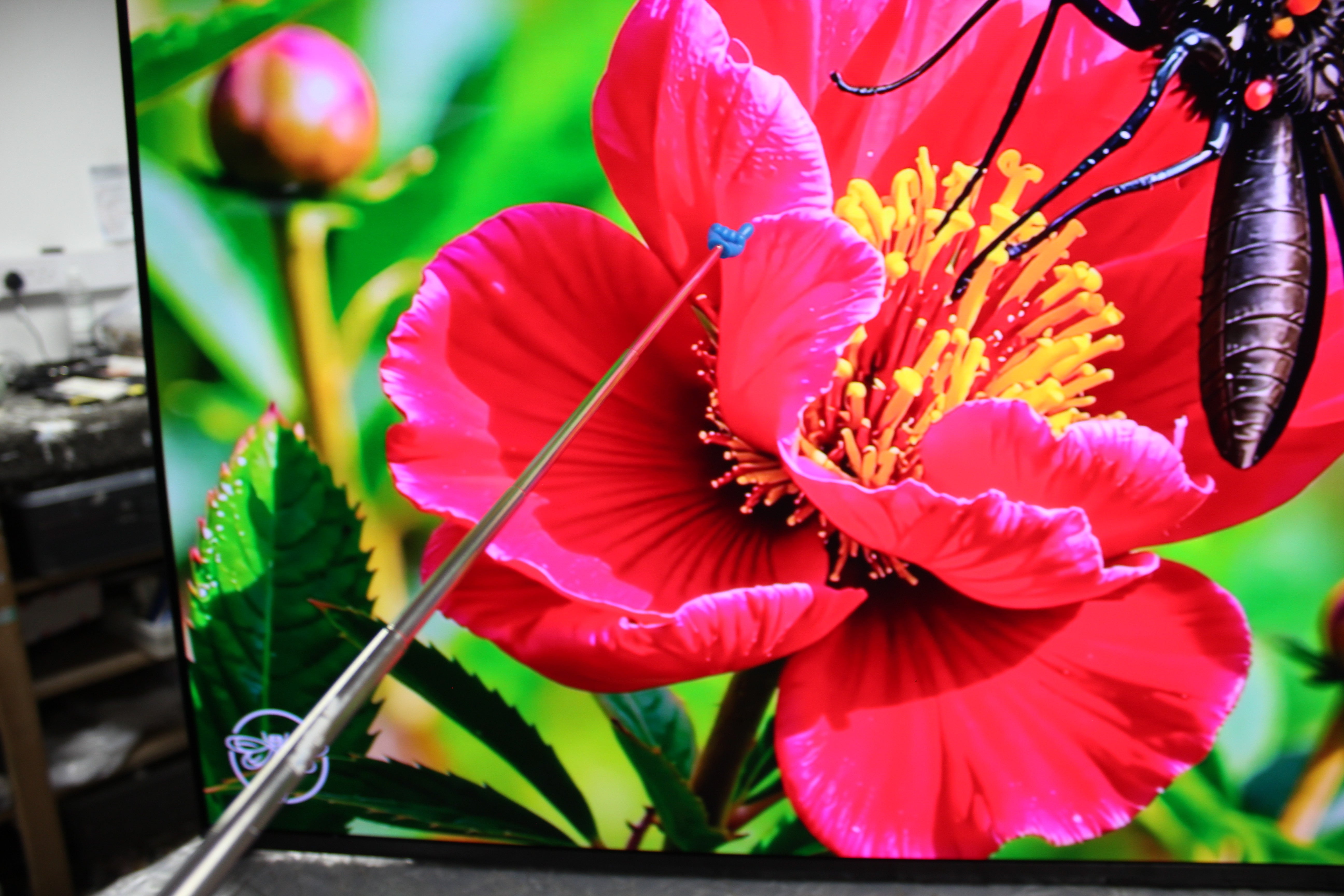 65" Sony Bravia K65XR8M25B 4K HDR Google QD-OLED TV