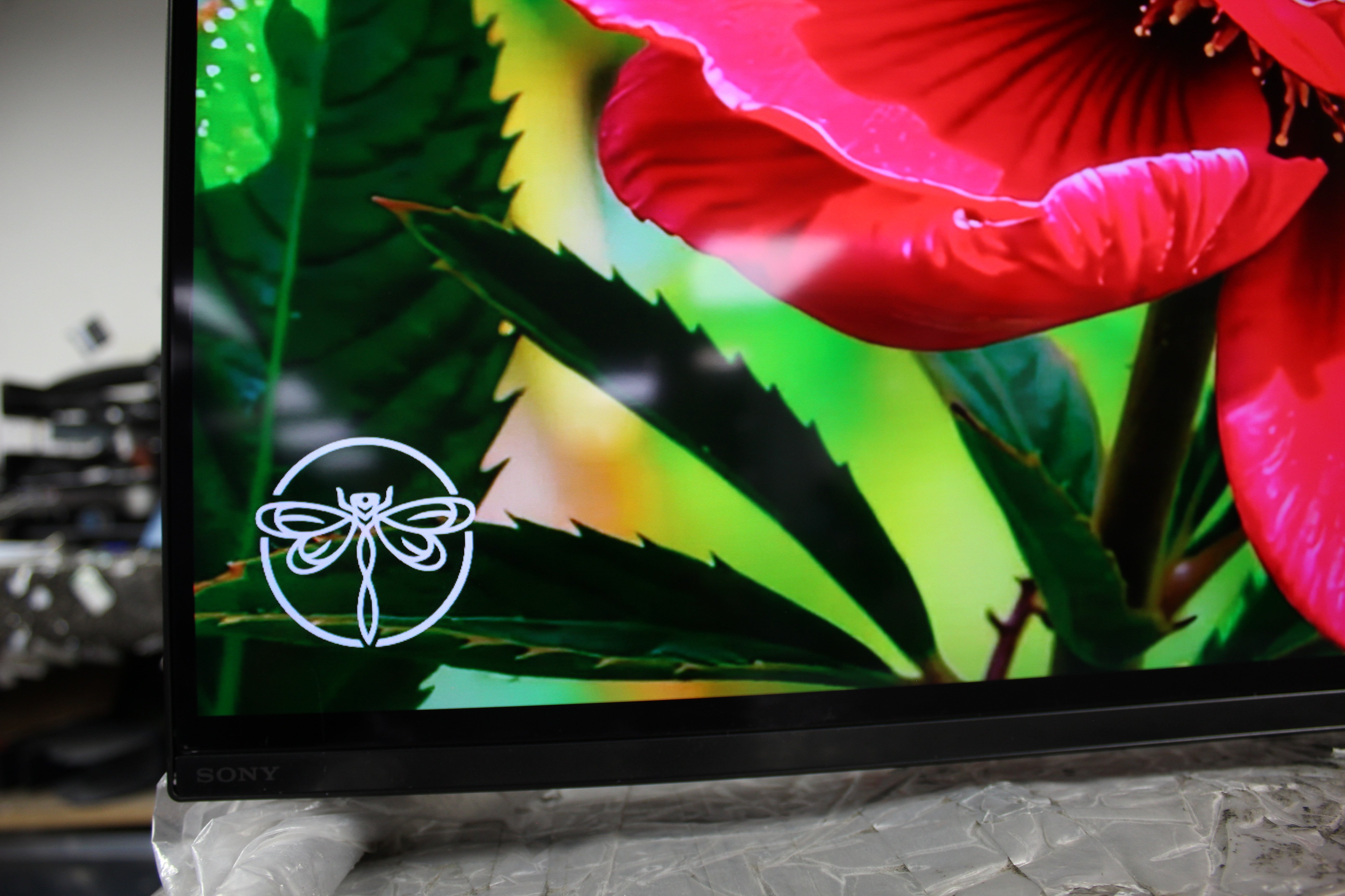 55" Sony Bravia XR55A80LU 4K HDR Google Smart OLED TV