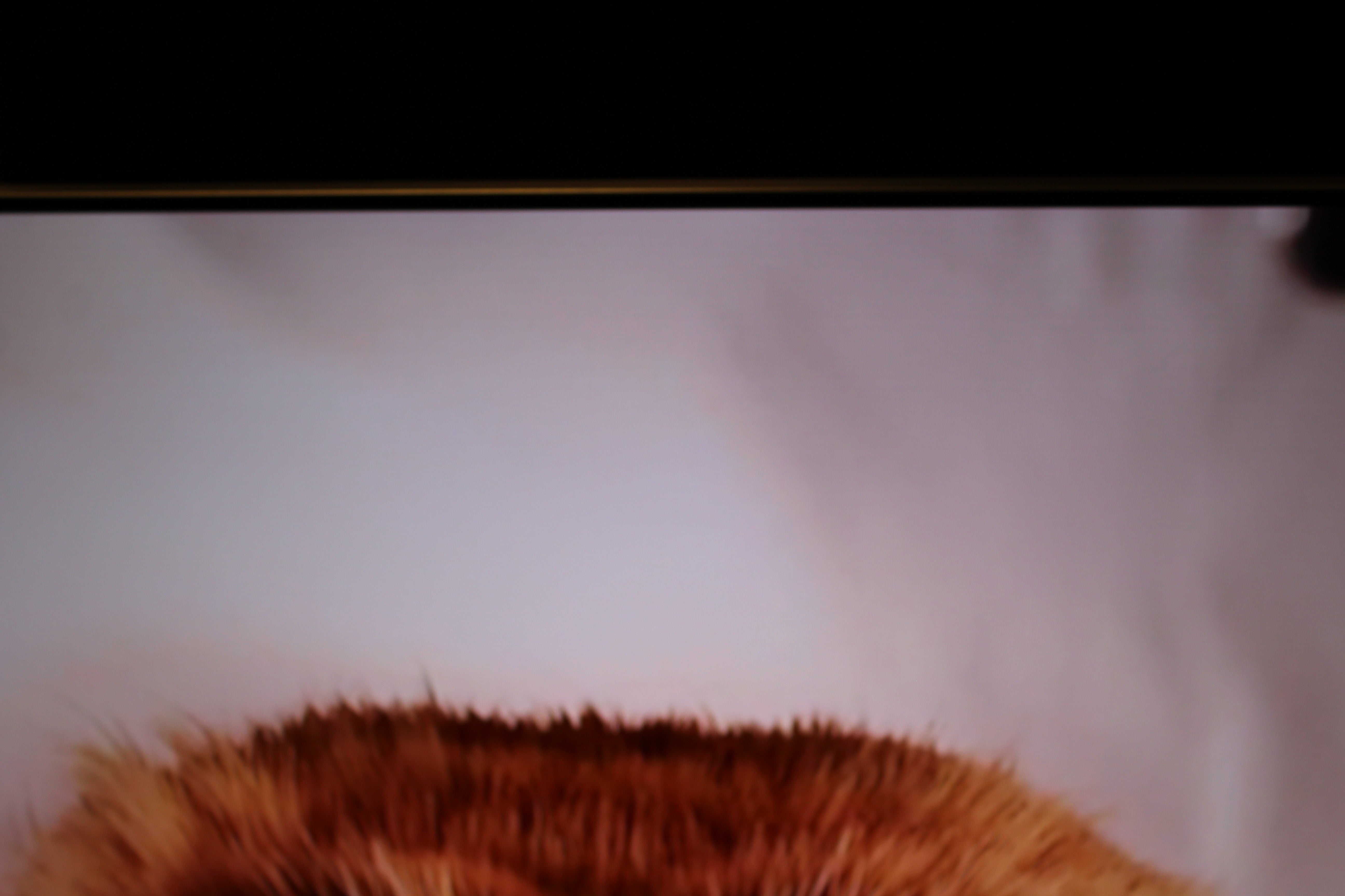 77" LG Evo OLED77G64LW 4K HDR Smart OLED TV