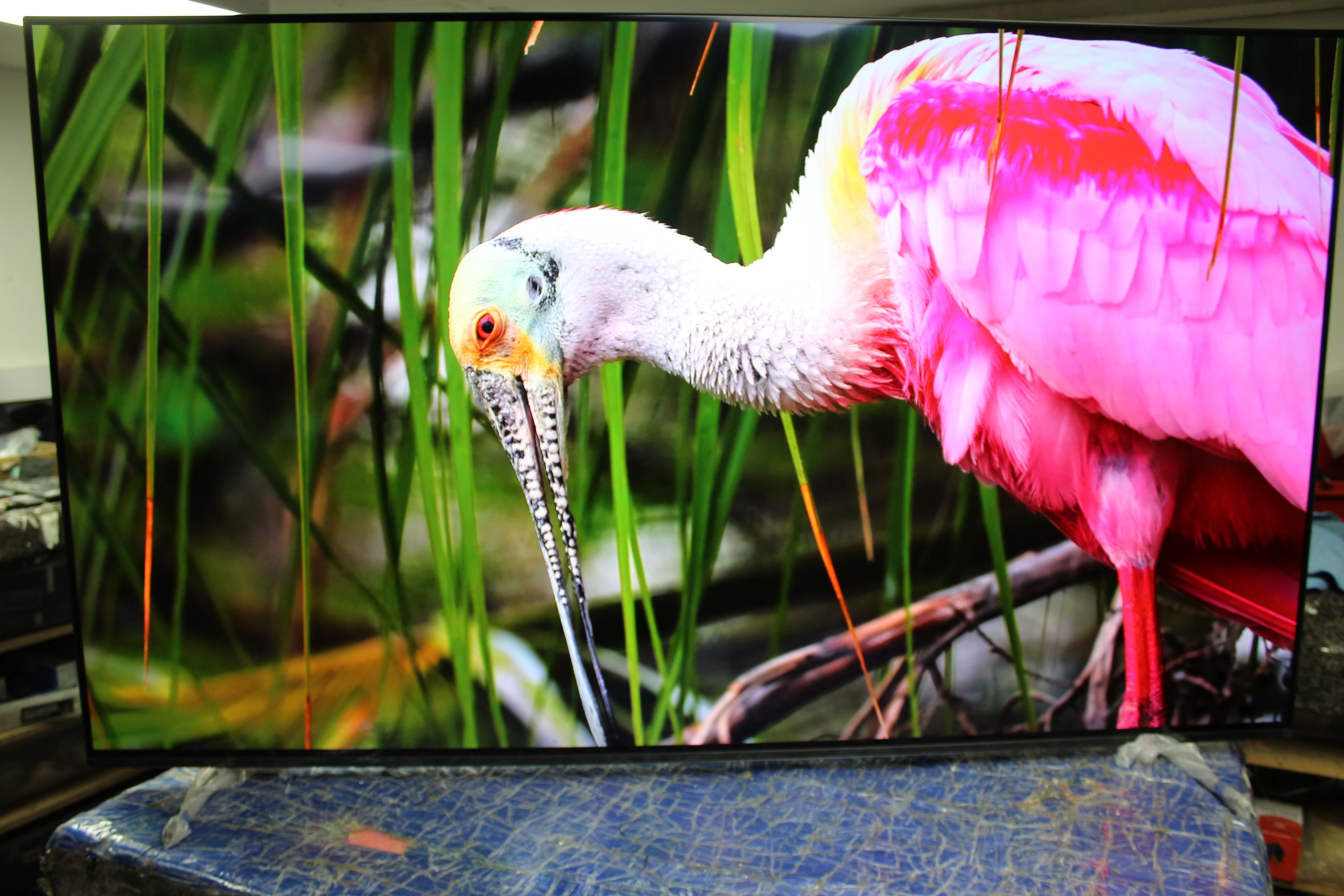 65" Sony Bravia XR65A84KU 4K HDR Google Smart OLED TV
