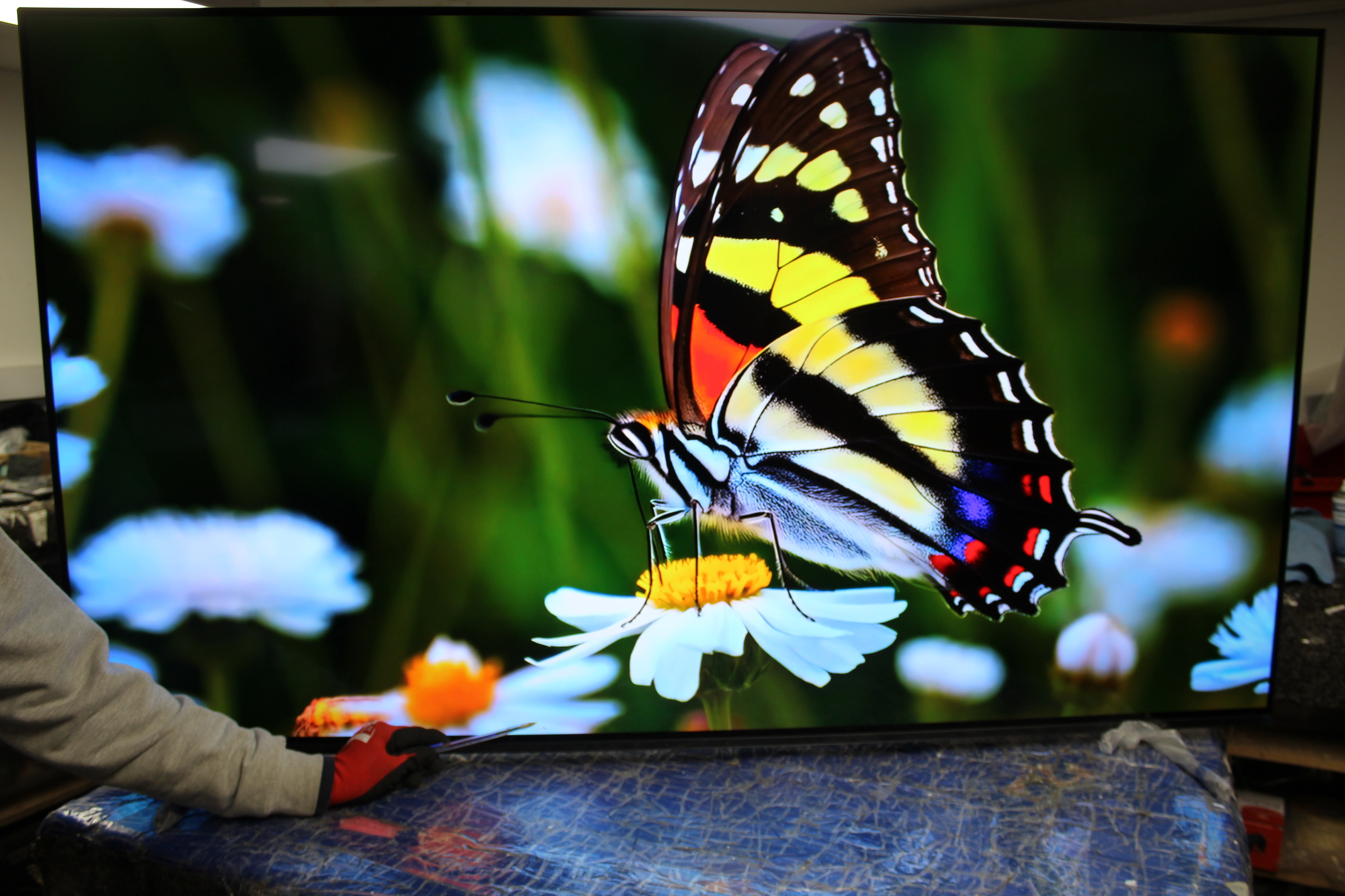 65" Sony Bravia XR65A84KU 4K HDR Google Smart OLED TV