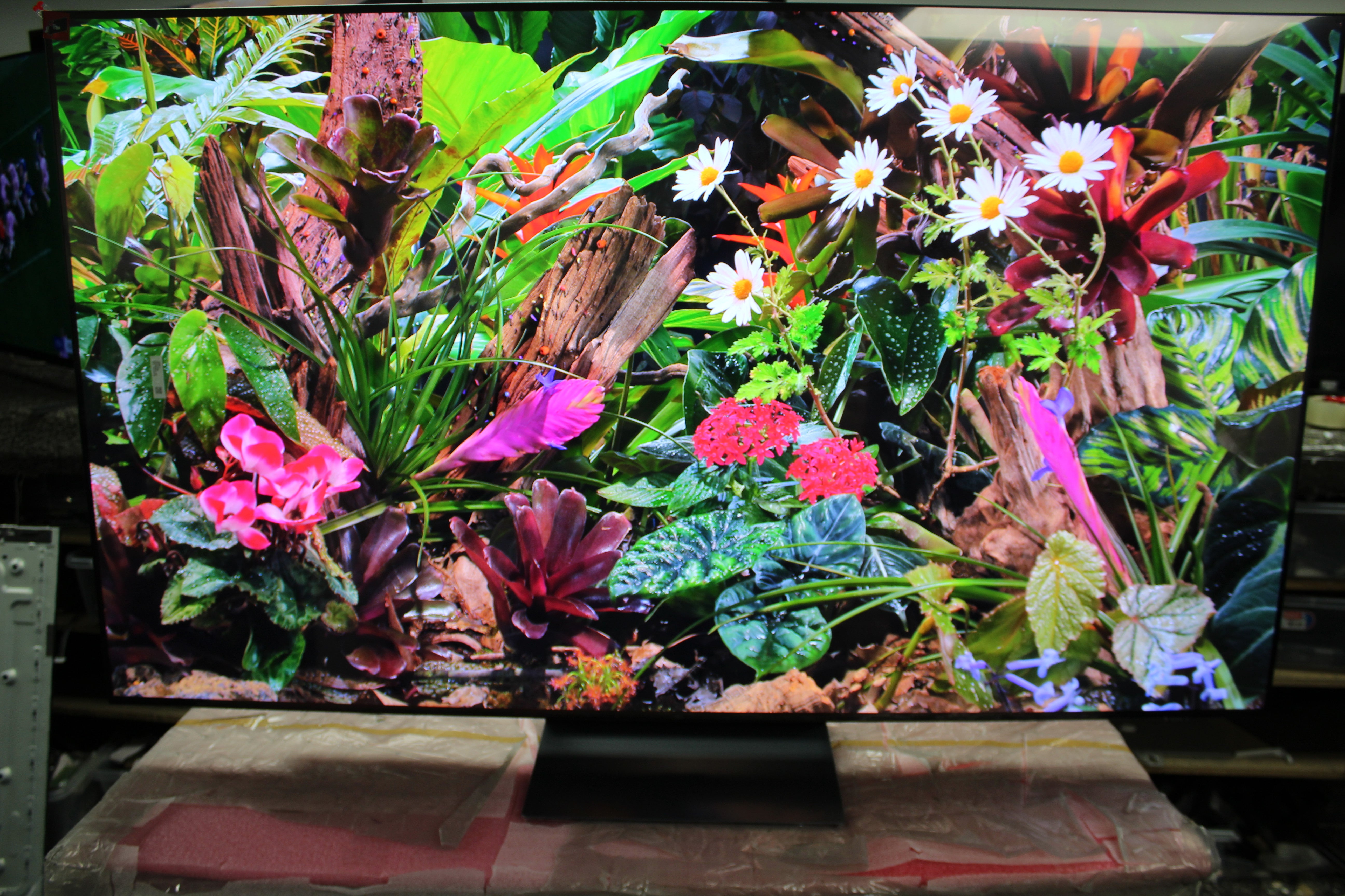 65" Samsung QE65S90F Flagship 4K HDR OLED TV