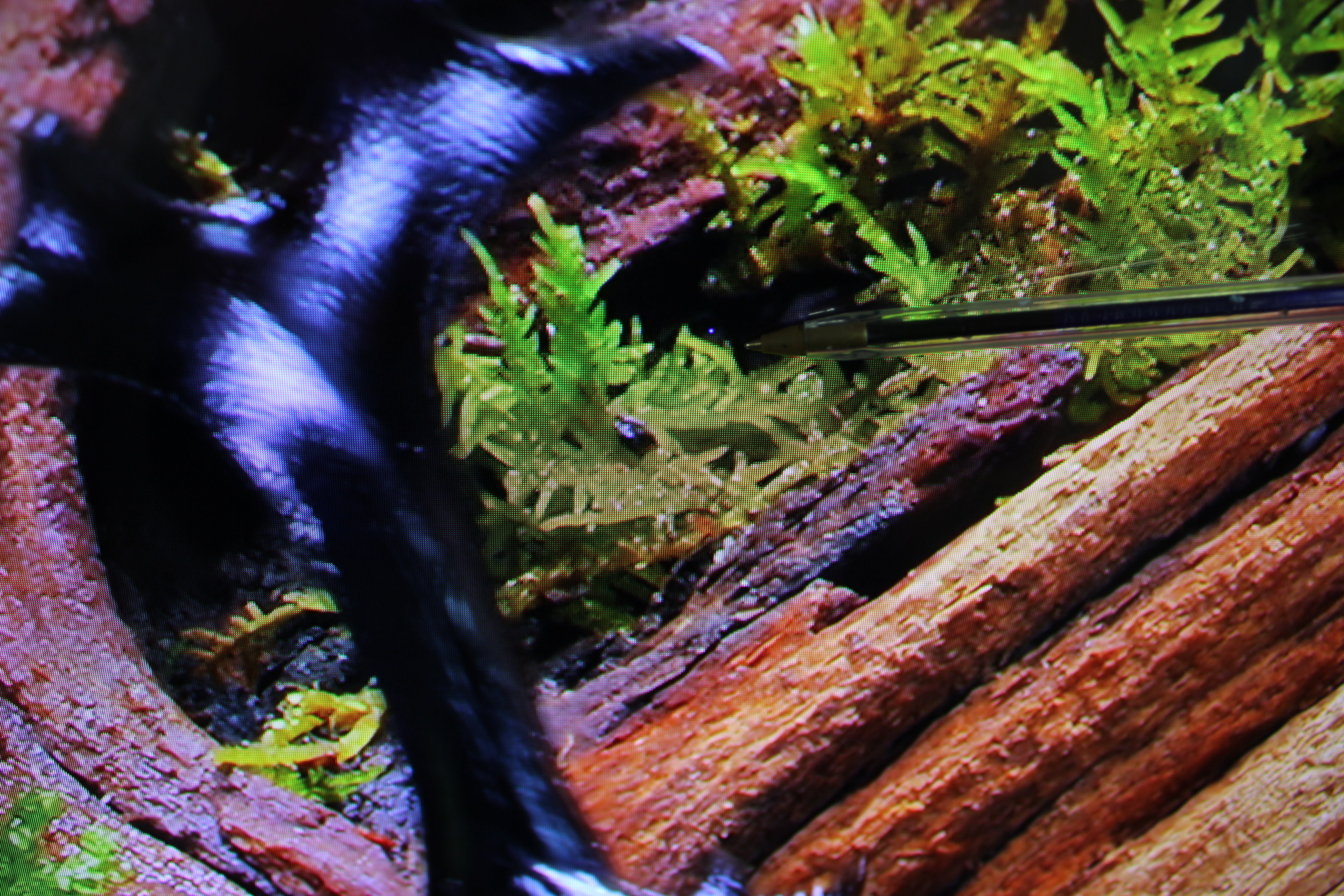 65" Samsung QE65S90F Flagship 4K HDR OLED TV