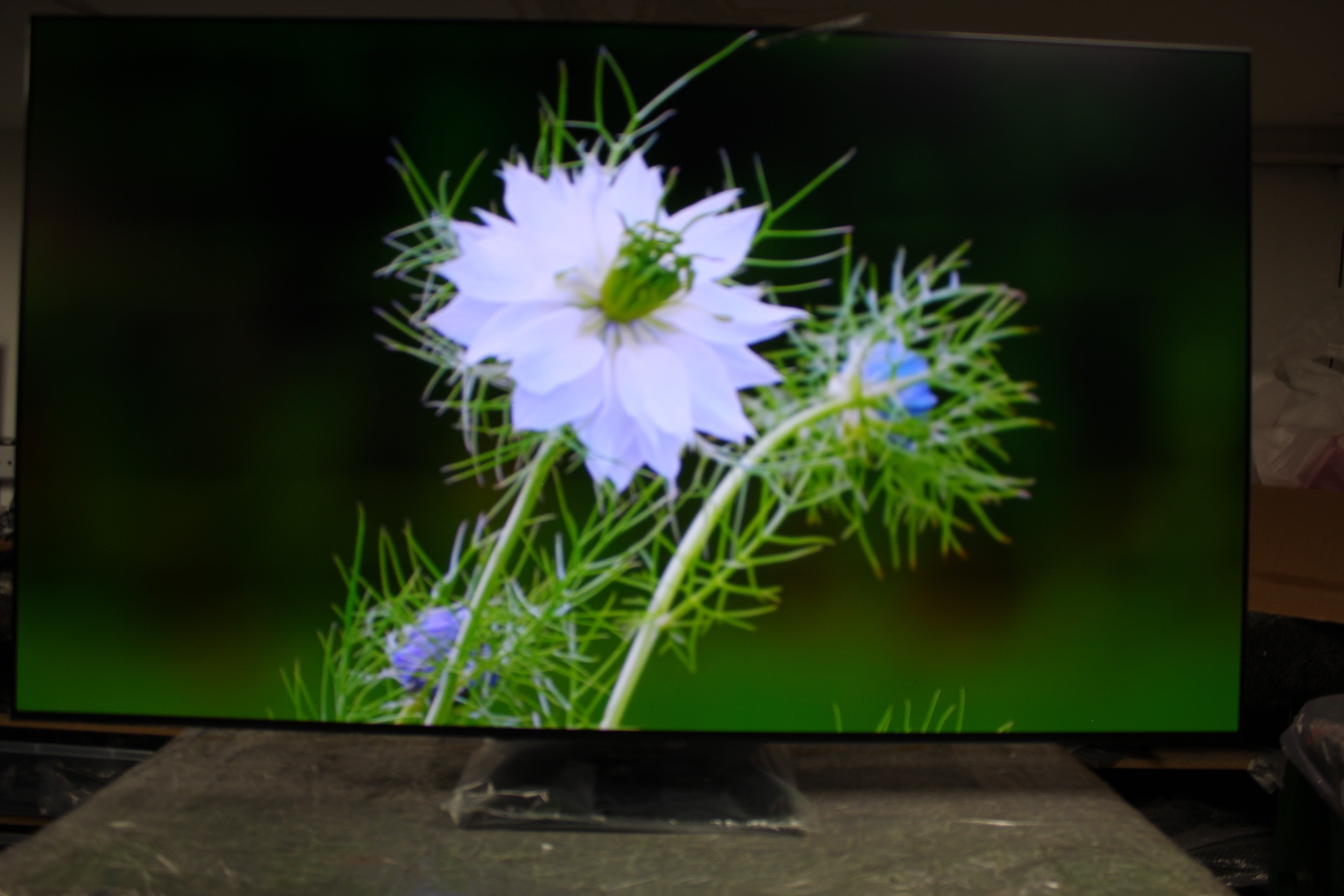 65" Samsung QE65S95F Flagship Vision Ai 4K Glare Free OLED TV