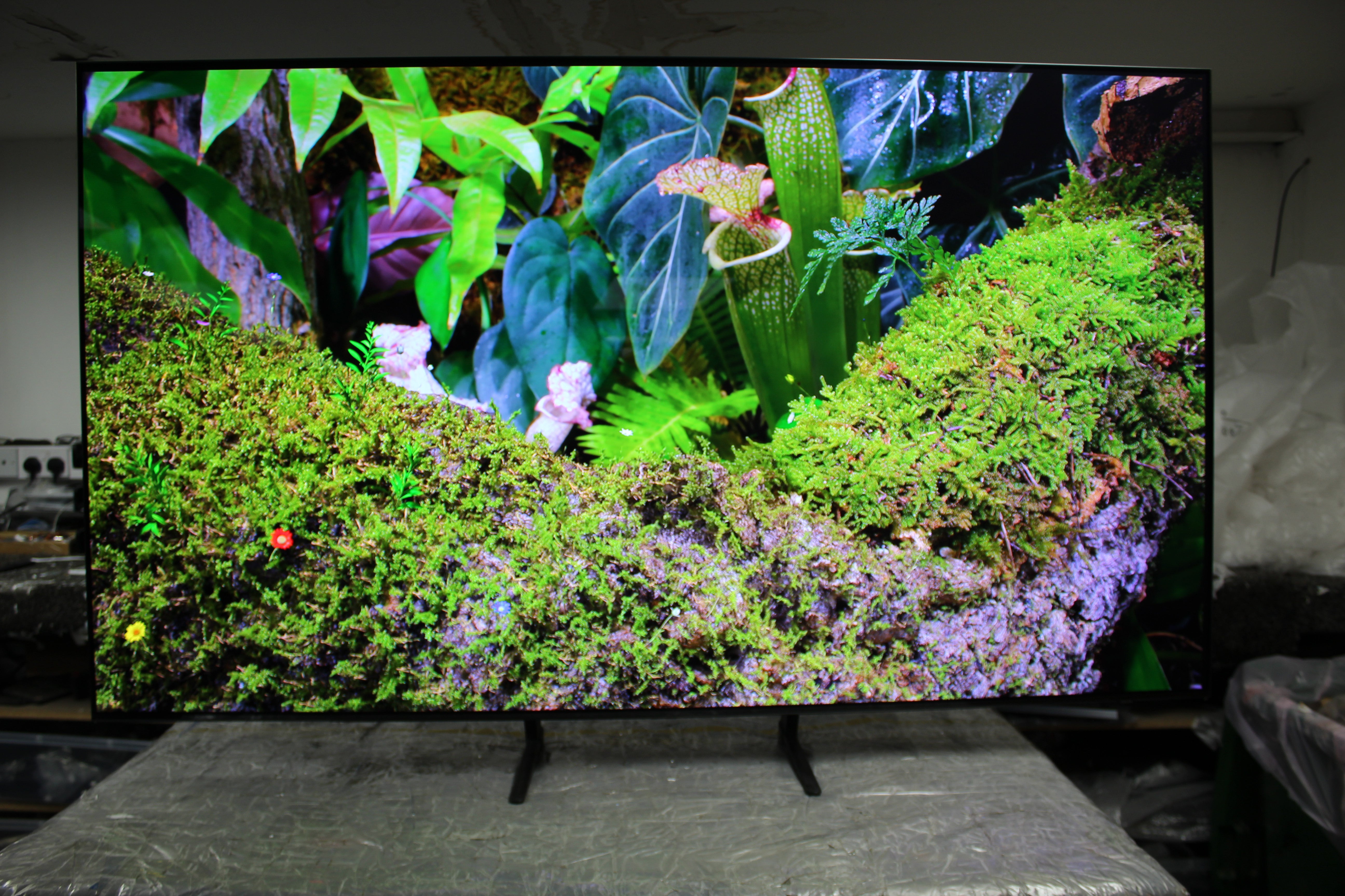 65" Samsung QE65S90F Flagship 4K HDR OLED TV