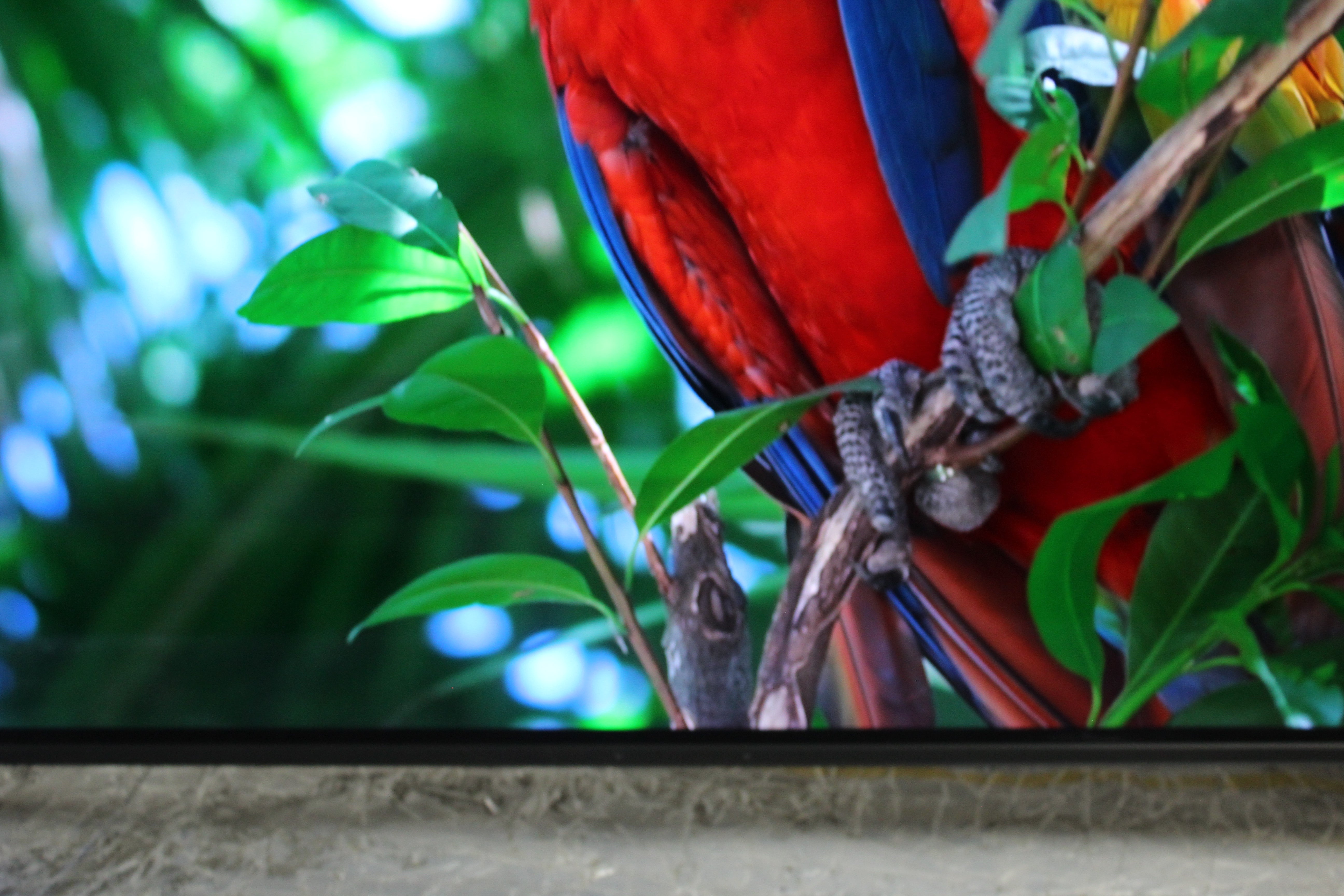 65" Sony Bravia XR65A84KU 4K HDR Google Smart OLED TV