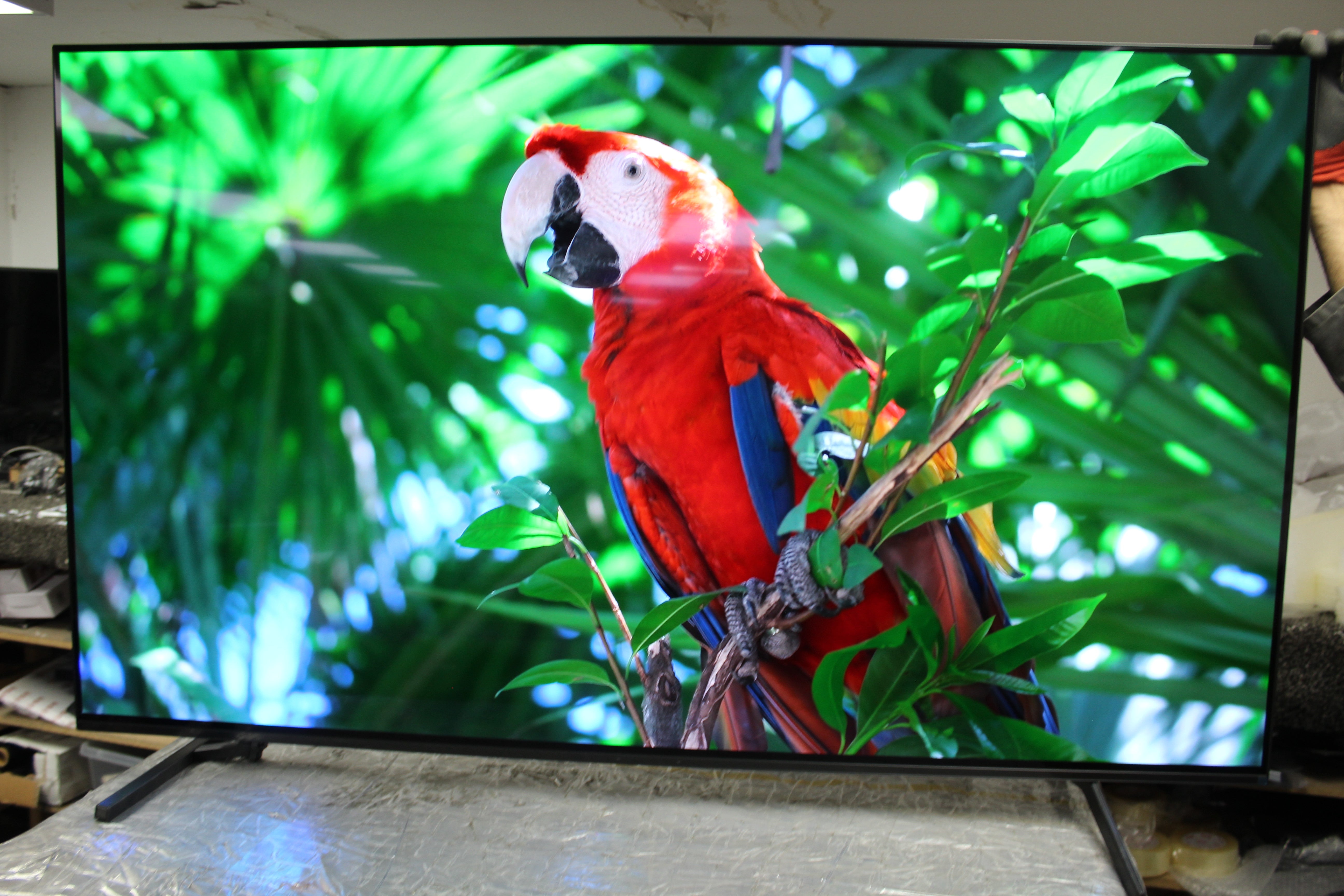 65" Sony Bravia XR65A84KU 4K HDR Google Smart OLED TV