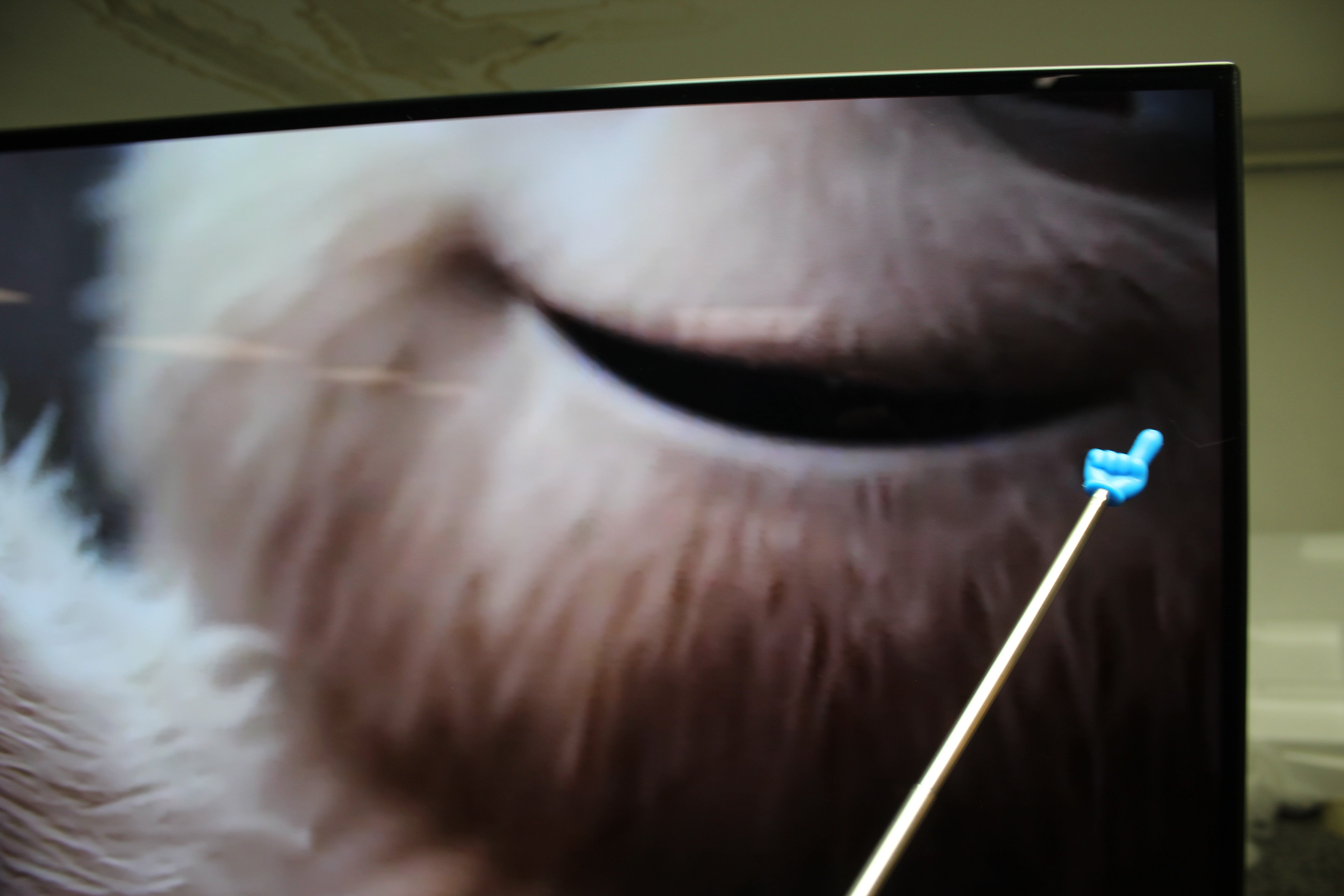 65" LG OLED65CX6LA 4K HDR Smart OLED TV