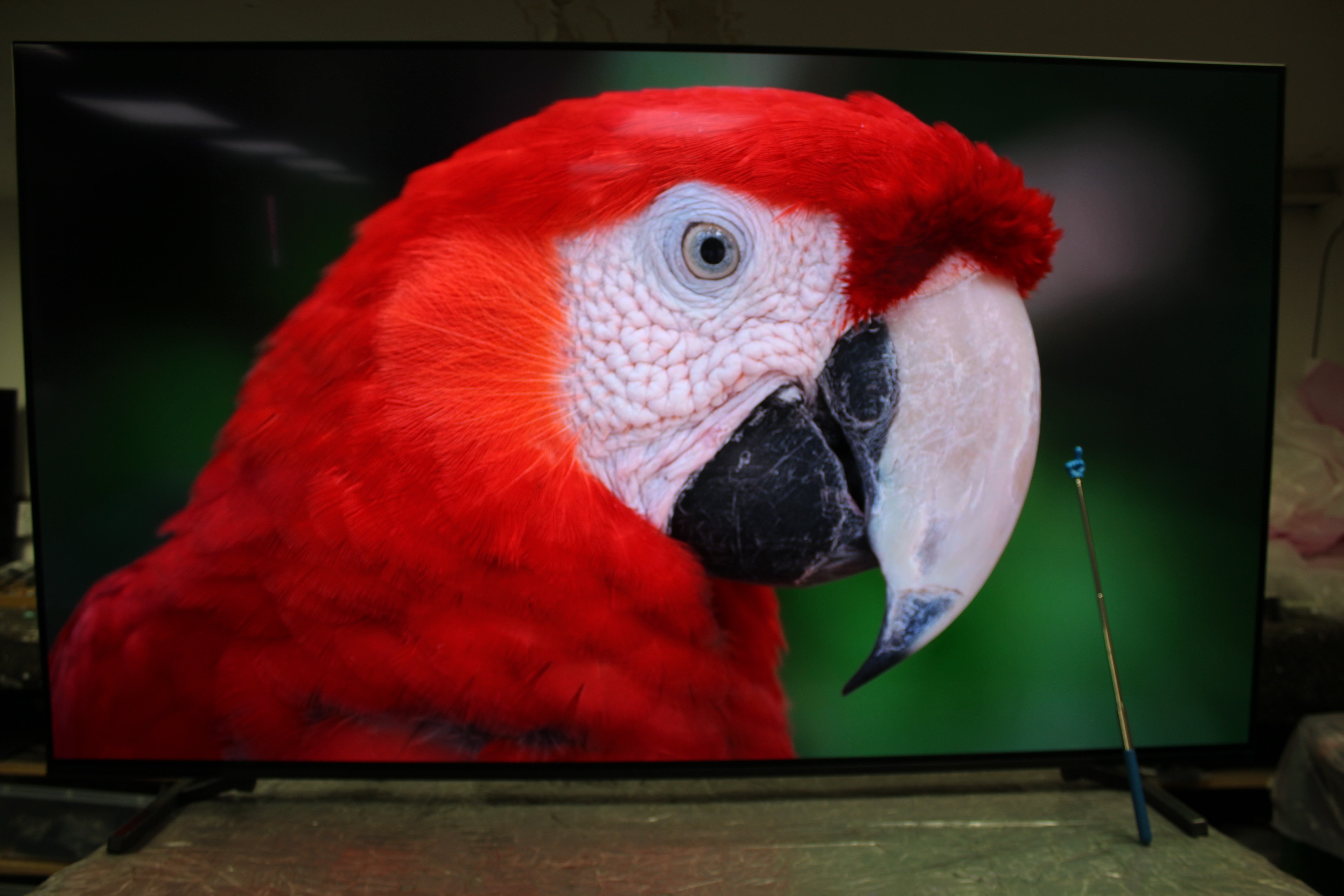 65" Sony Bravia XR65A84KU 4K HDR Google Smart OLED TV