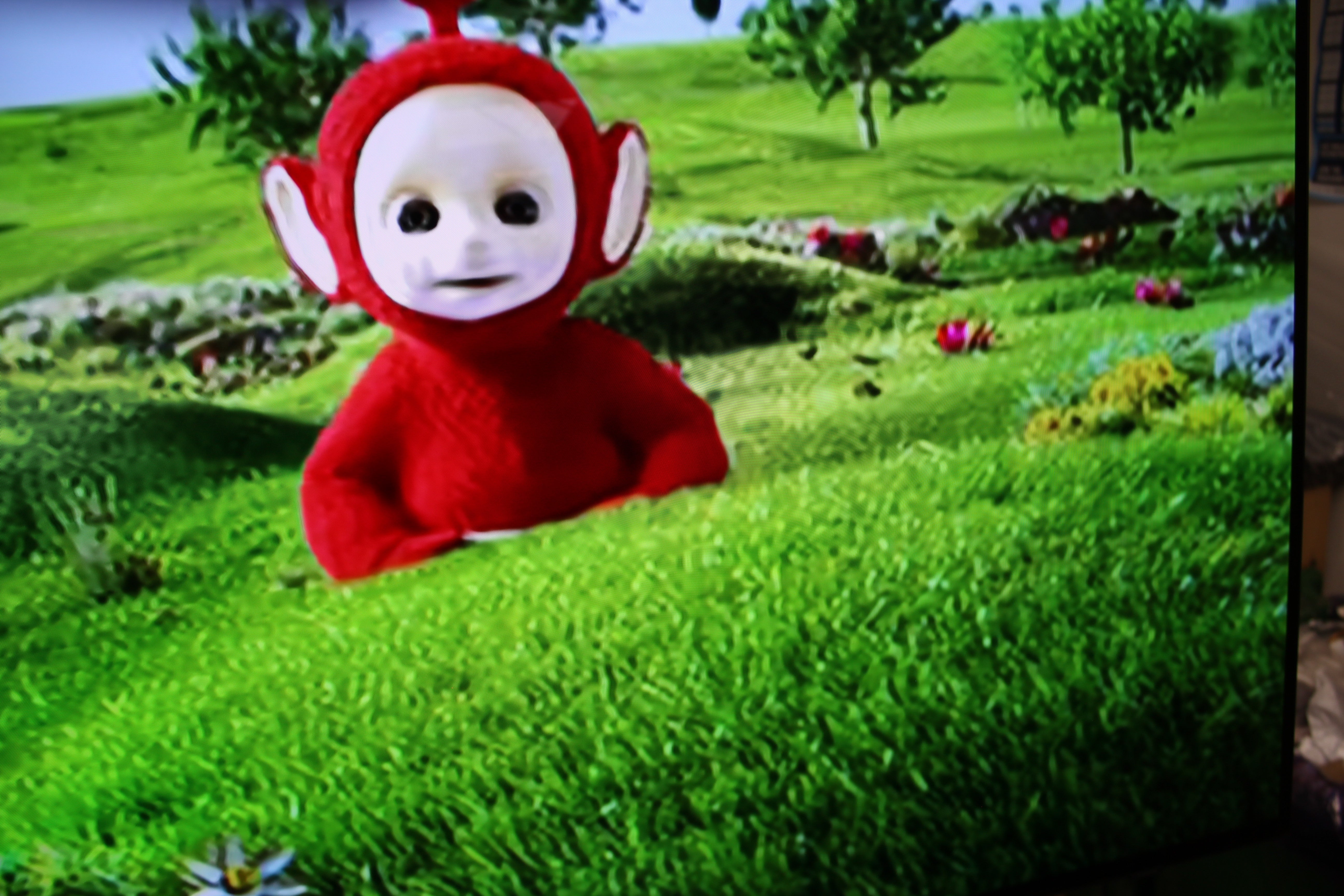77