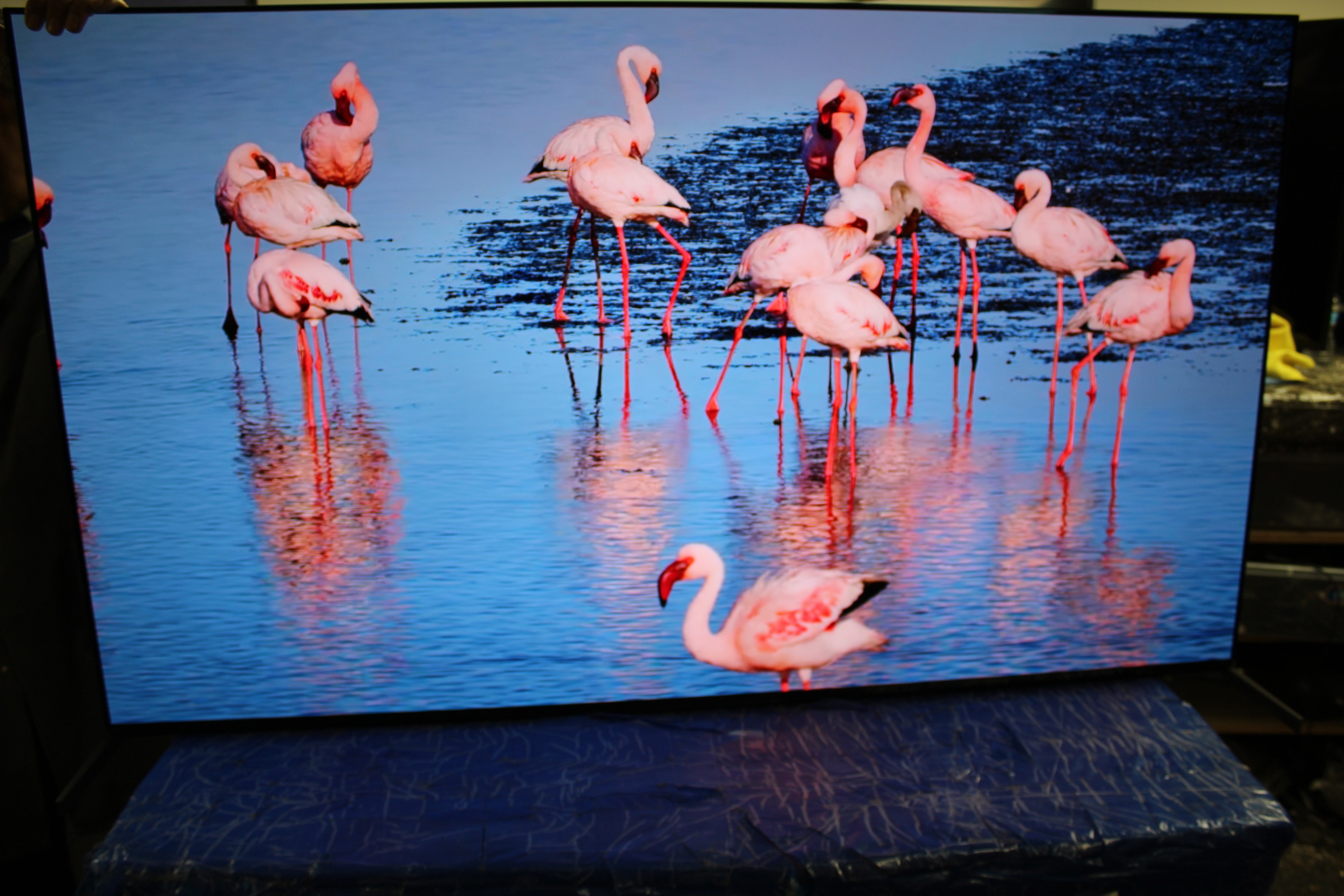 65" Sony Bravia K65XR8M2 4K HDR Google QD-OLED AI TV