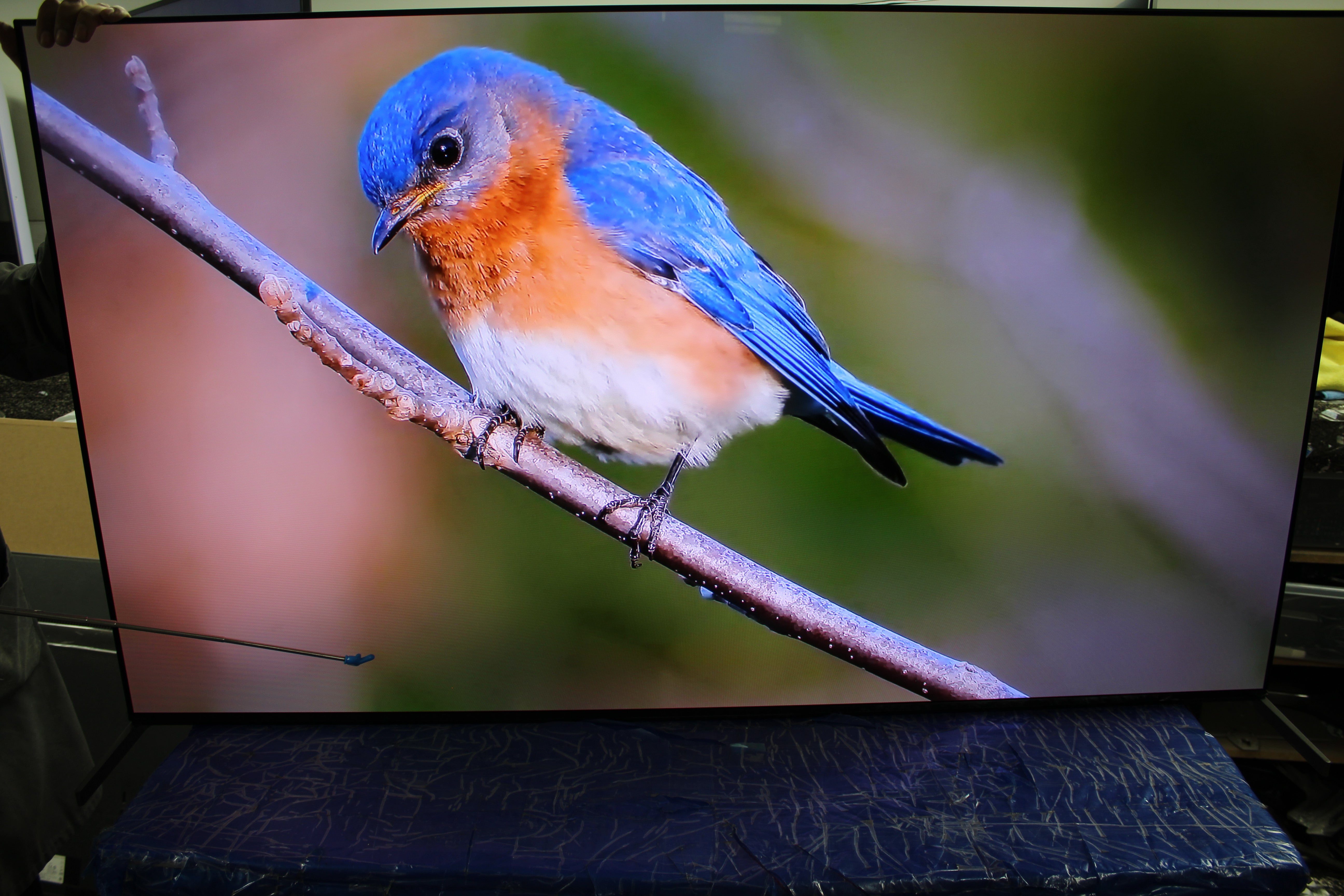 65" Sony Bravia K65XR8M2 4K HDR Google QD-OLED AI TV