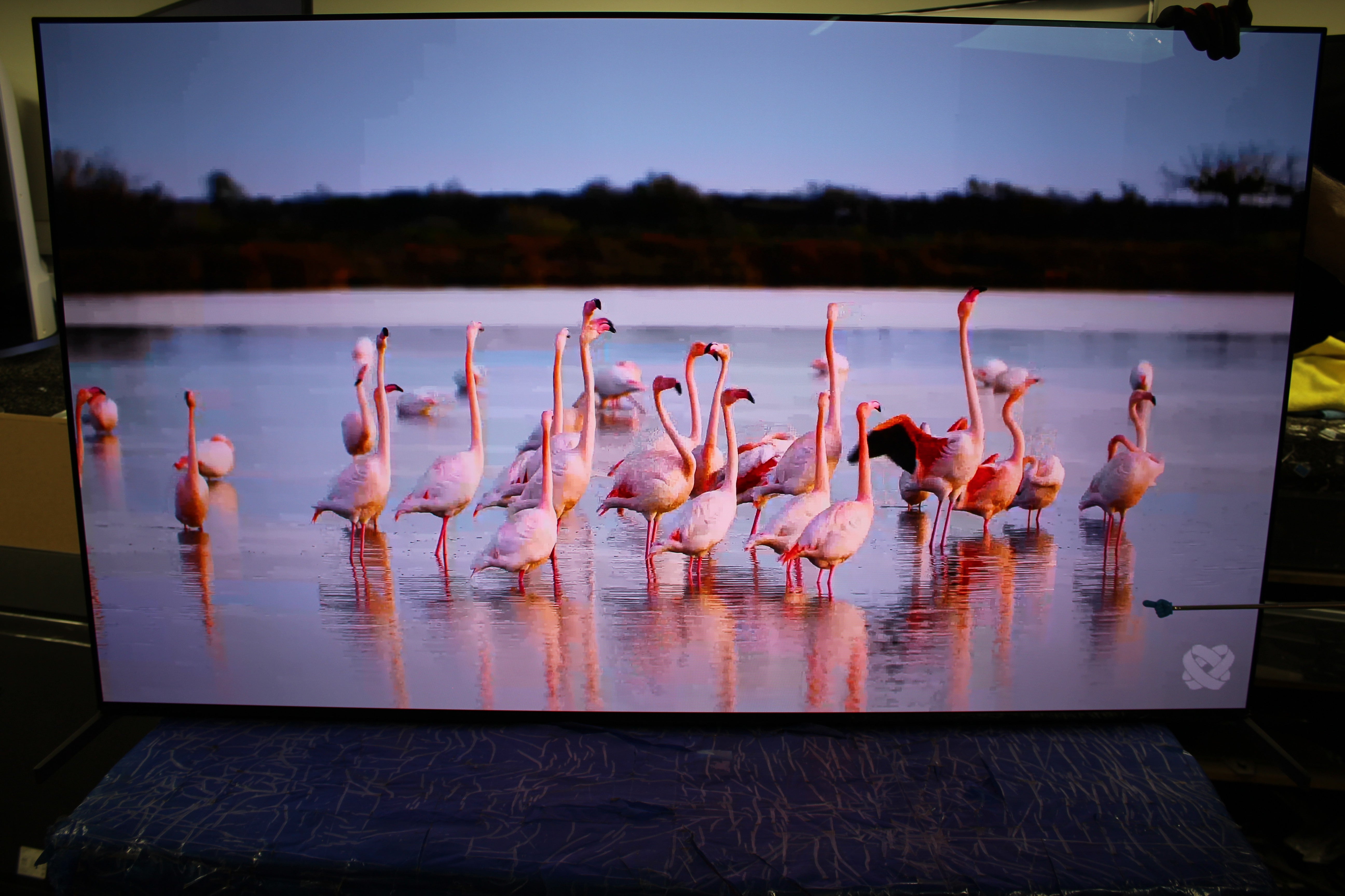 65" Sony Bravia K65XR8M2 4K HDR Google QD-OLED AI TV