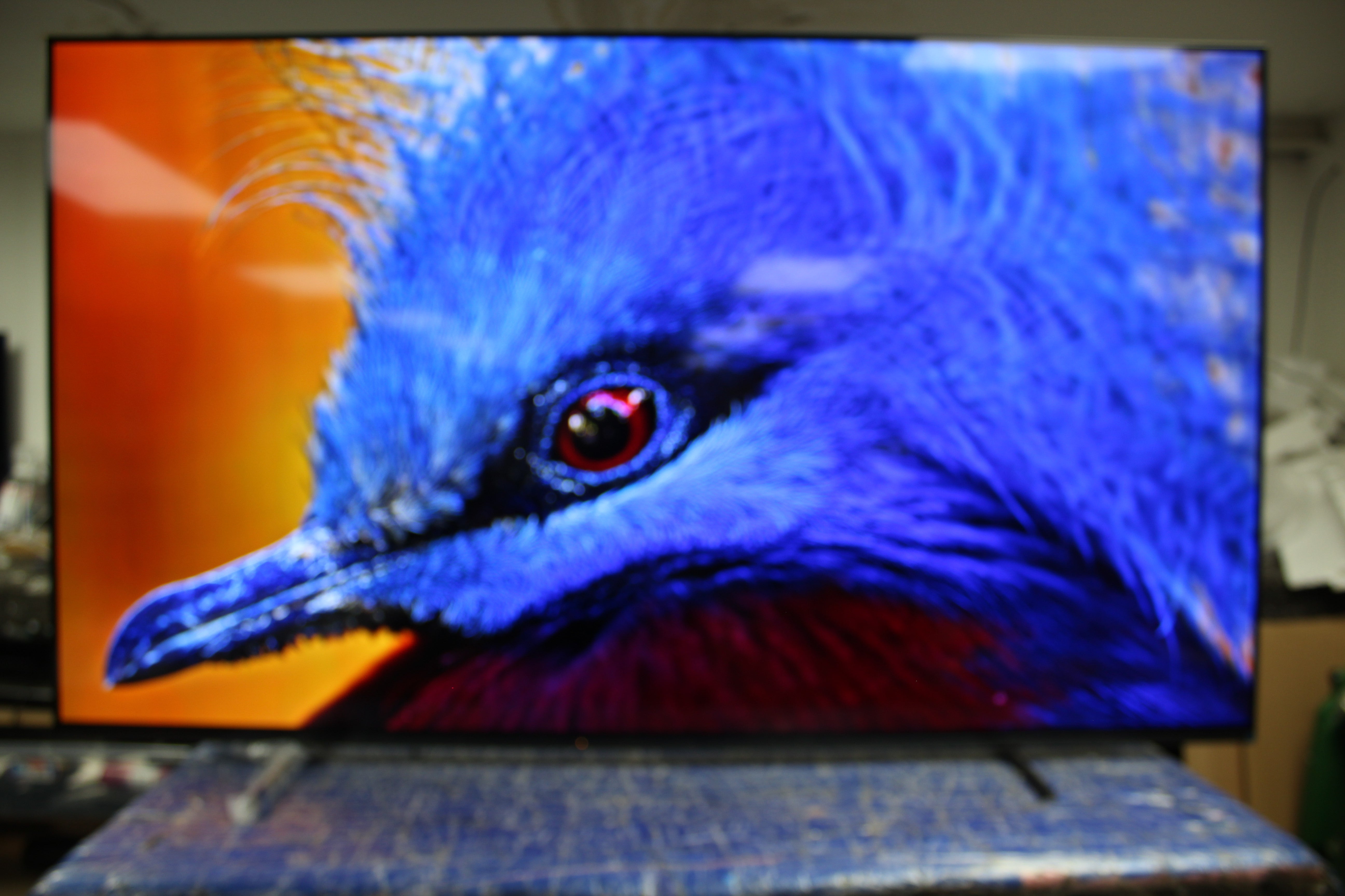 65" Sony Bravia XR65A80LU 4K HDR Google Smart OLED TV - Electronic World TV