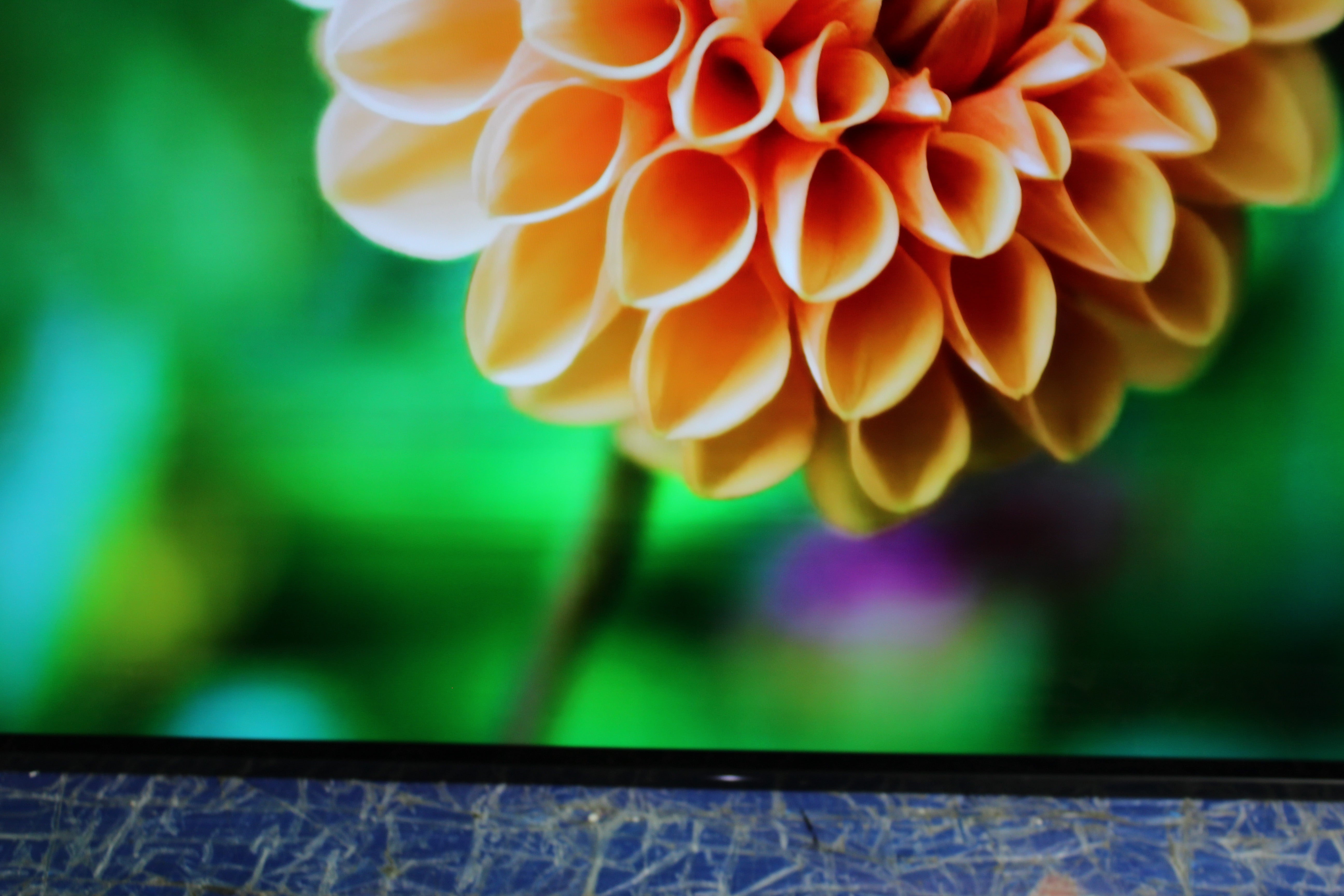 55" Sony KD55AF9BU 4K Ultra HD HDR Android Smart OLED TV