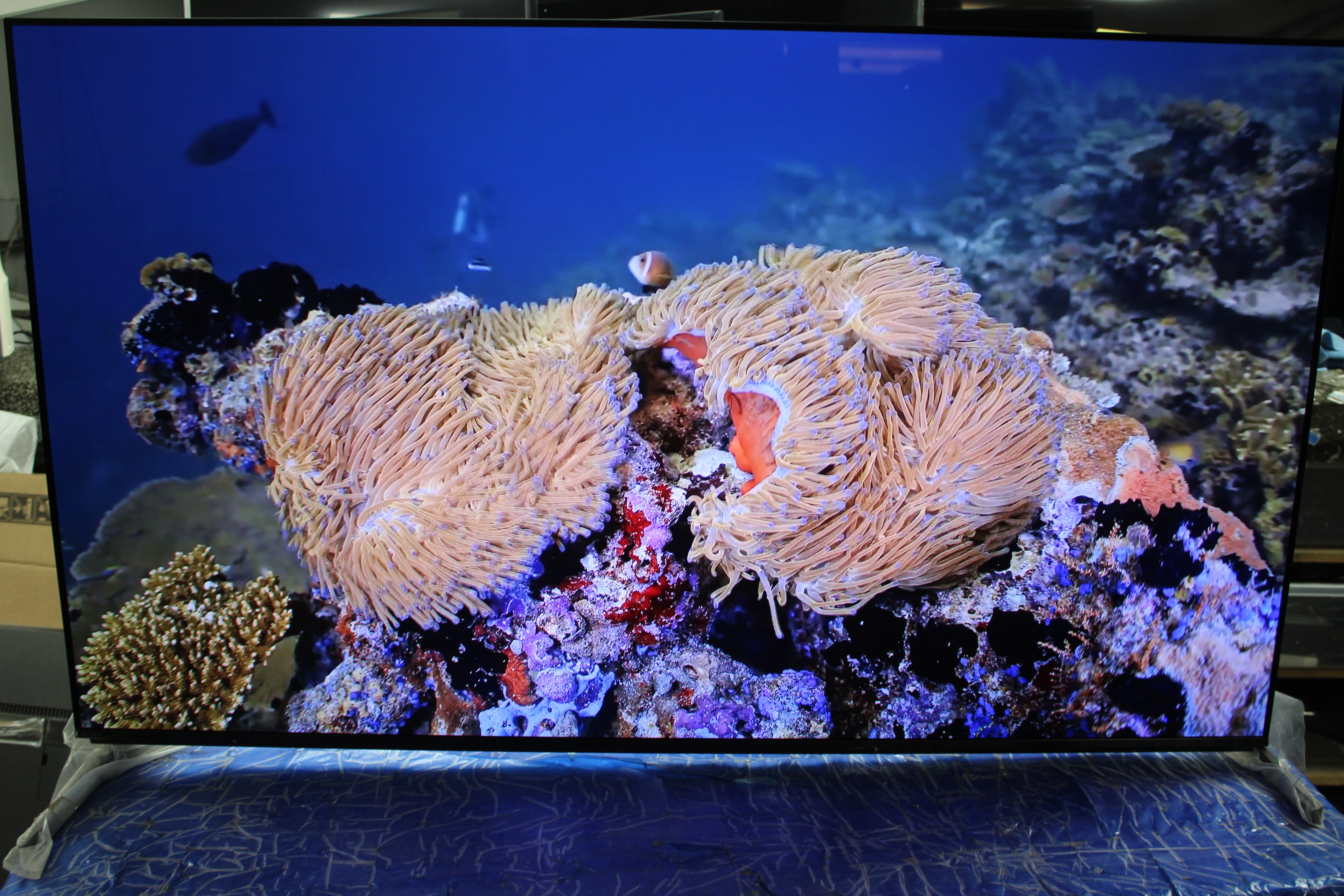 55" Sony Bravia XR55A95LU 4K HDR Google Smart OLED TV