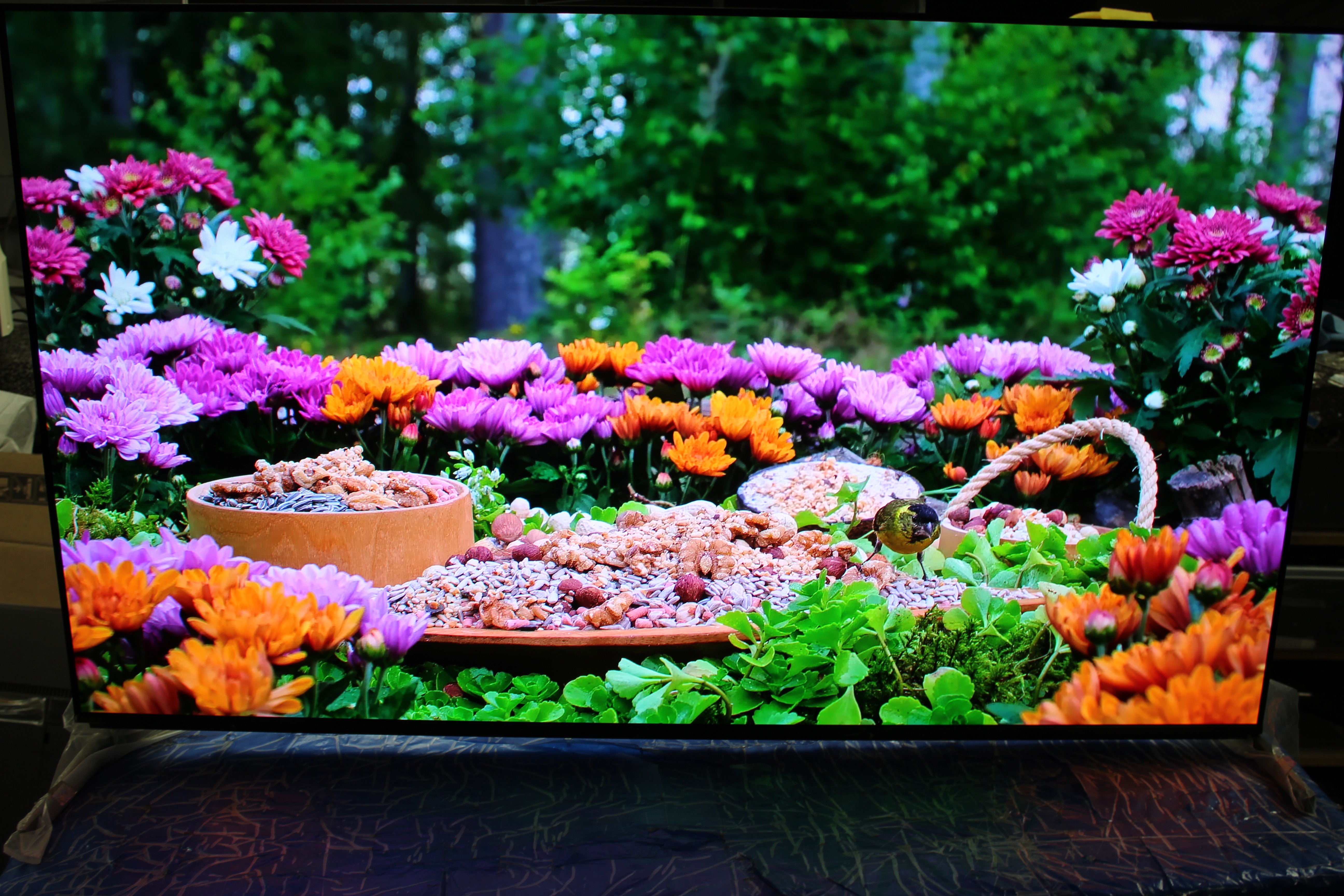 55" Sony Bravia XR55A95LU 4K HDR Google Smart OLED TV