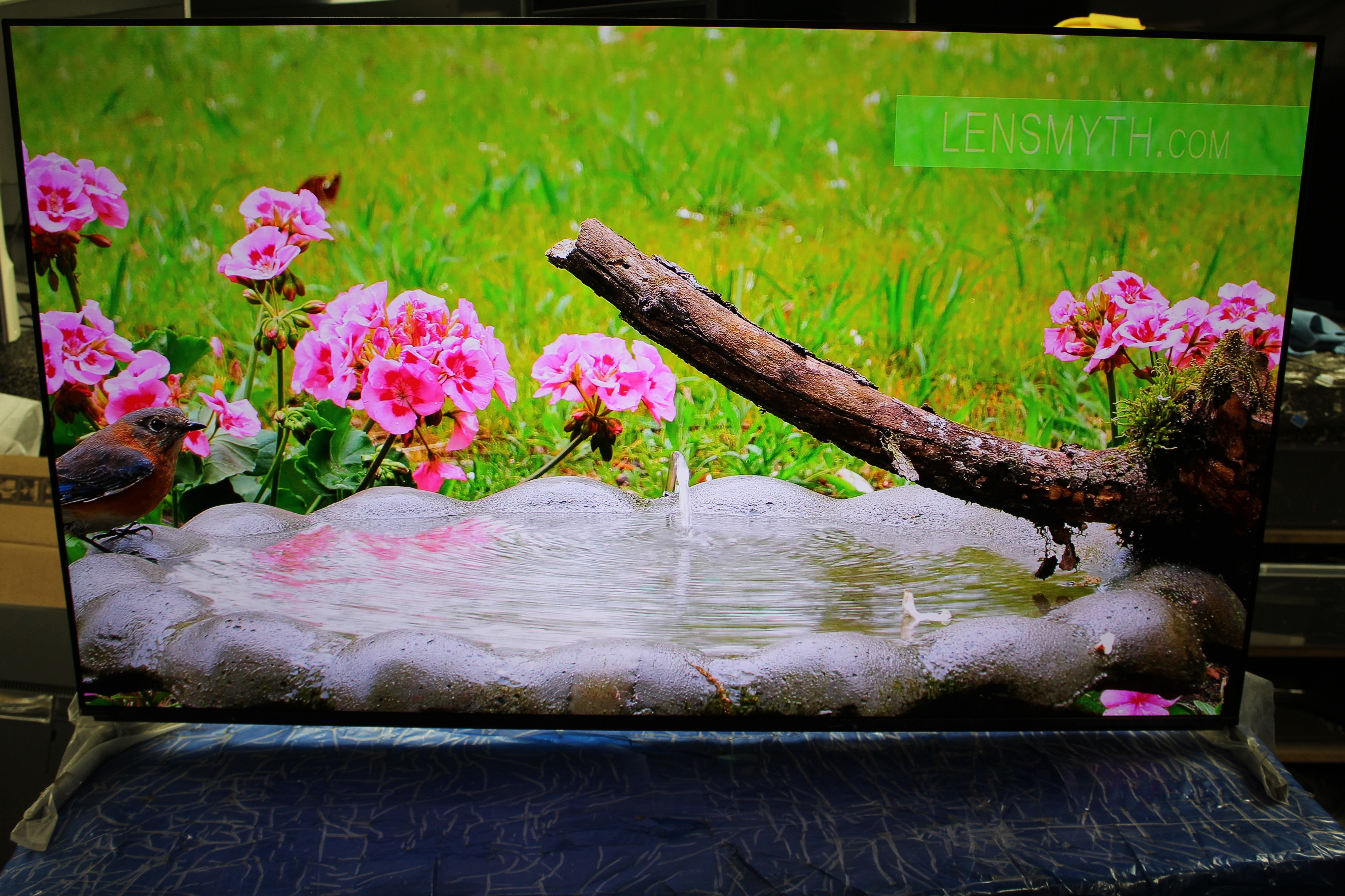 55" Sony Bravia XR55A95LU 4K HDR Google Smart OLED TV