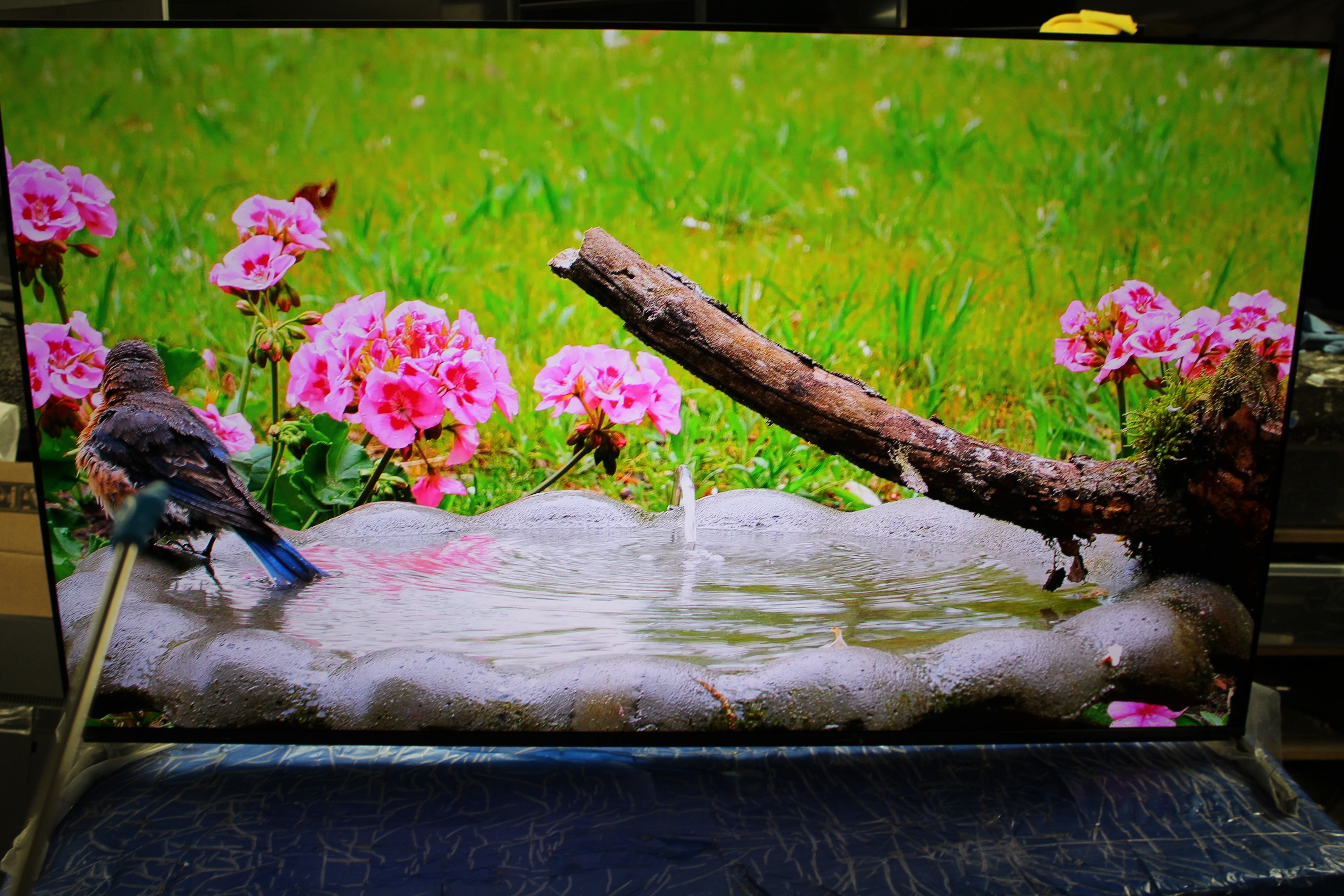 55" Sony Bravia XR55A95LU 4K HDR Google Smart OLED TV