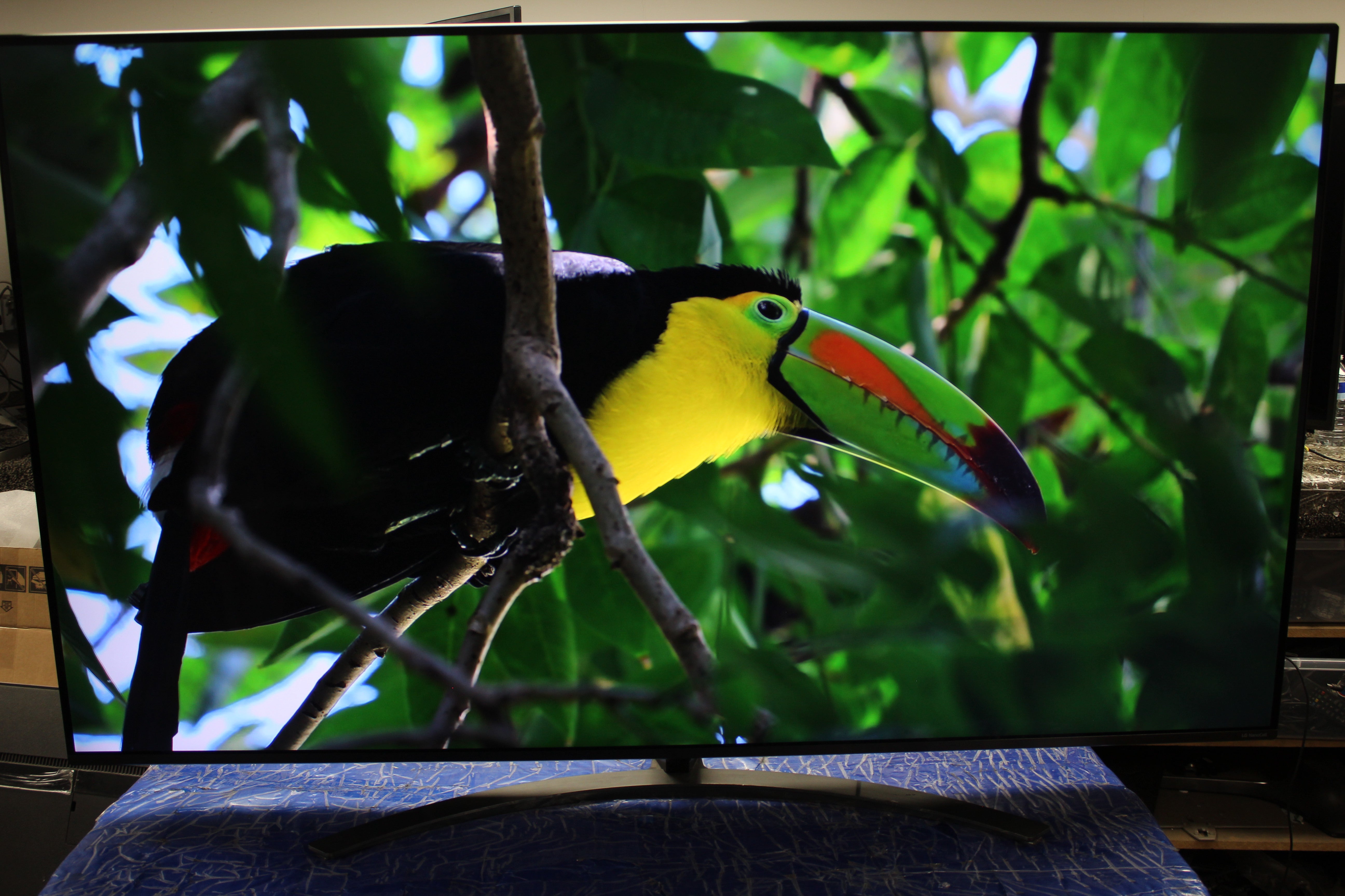 65" LG 65NANO816NA 4K HDR Nano Cell Smart LED TV