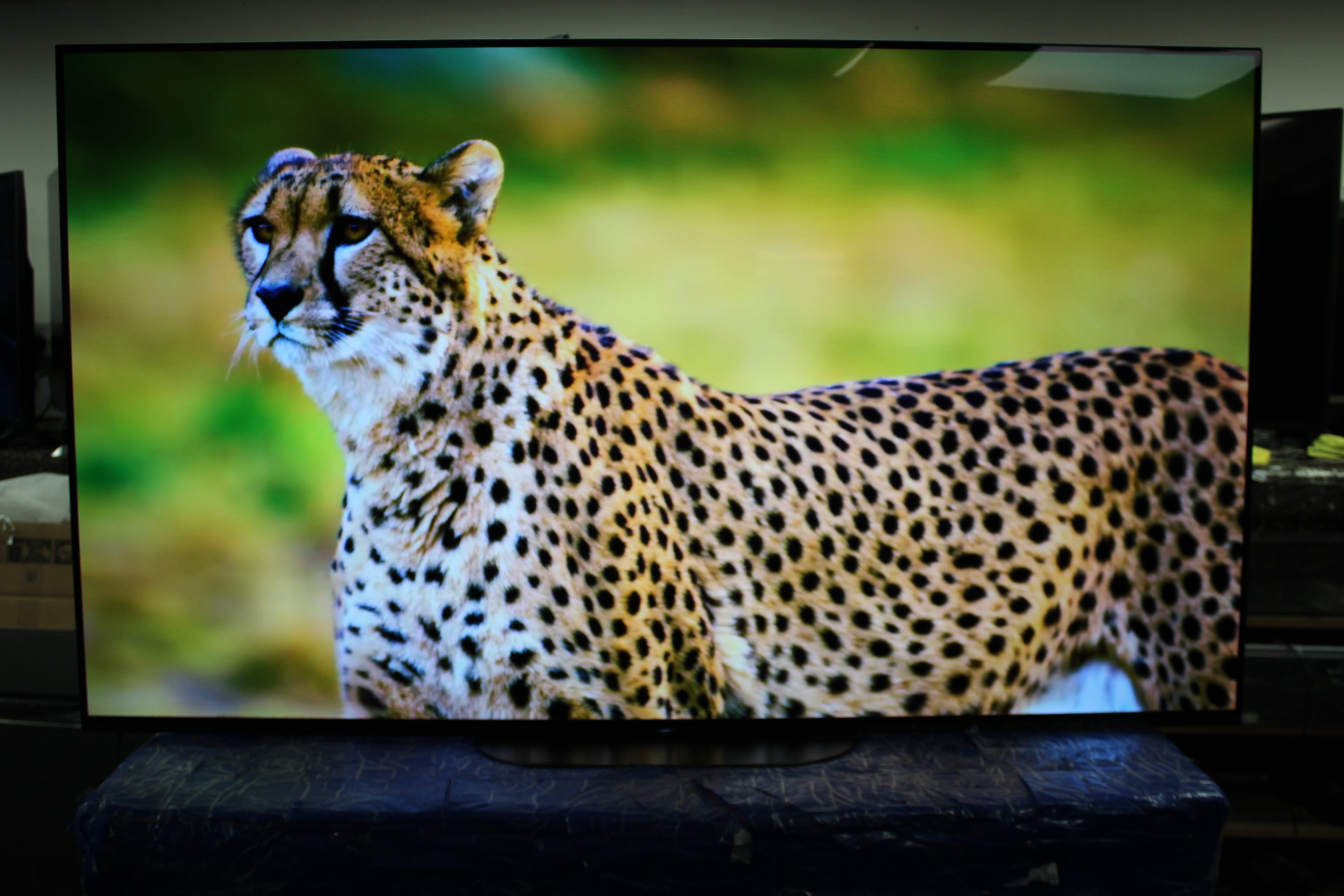 65" Sony KD65AG9BU Master Series 4K HDR Android Smart OLED TV