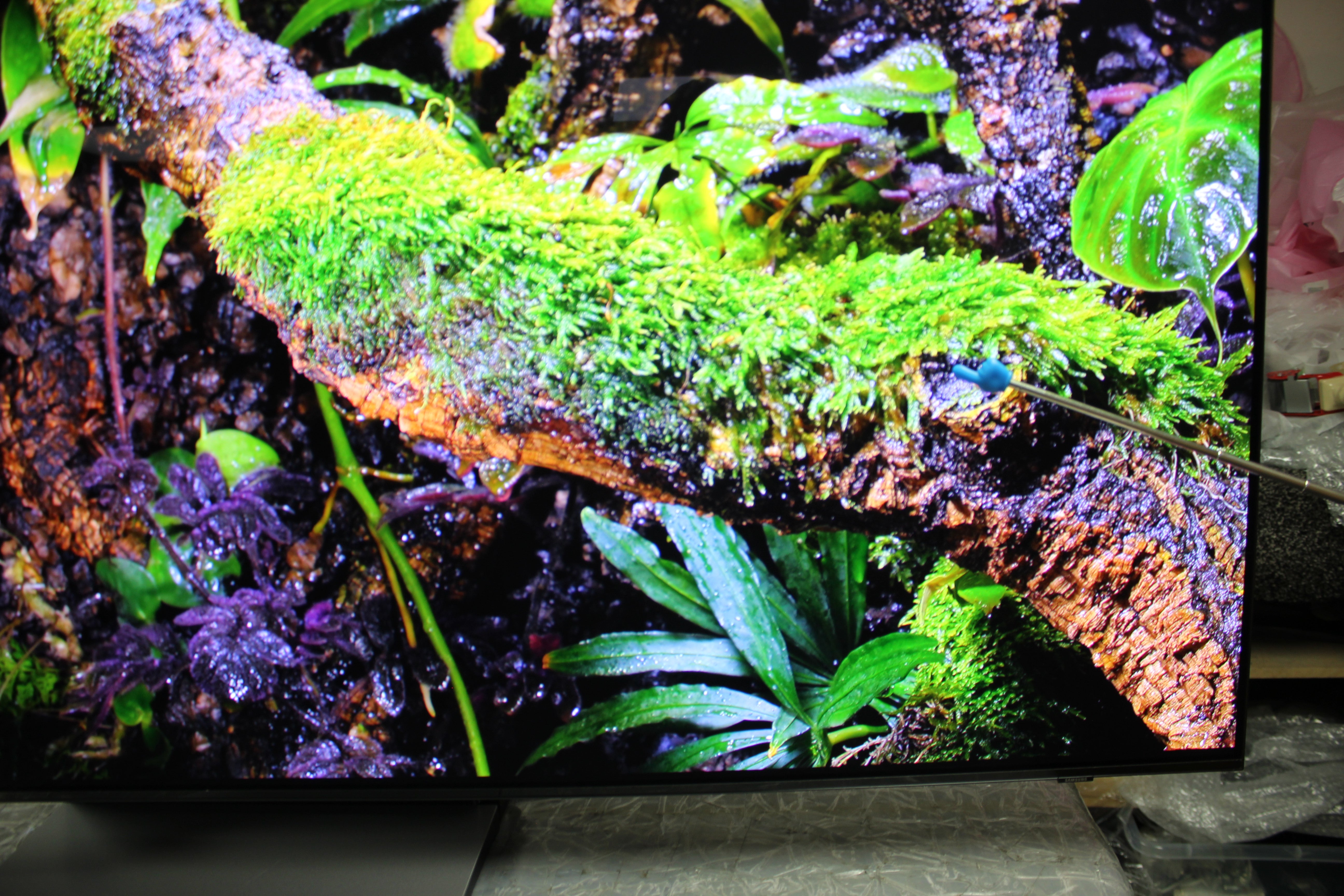 65" Samsung QE65S90F Flagship 4K HDR OLED TV