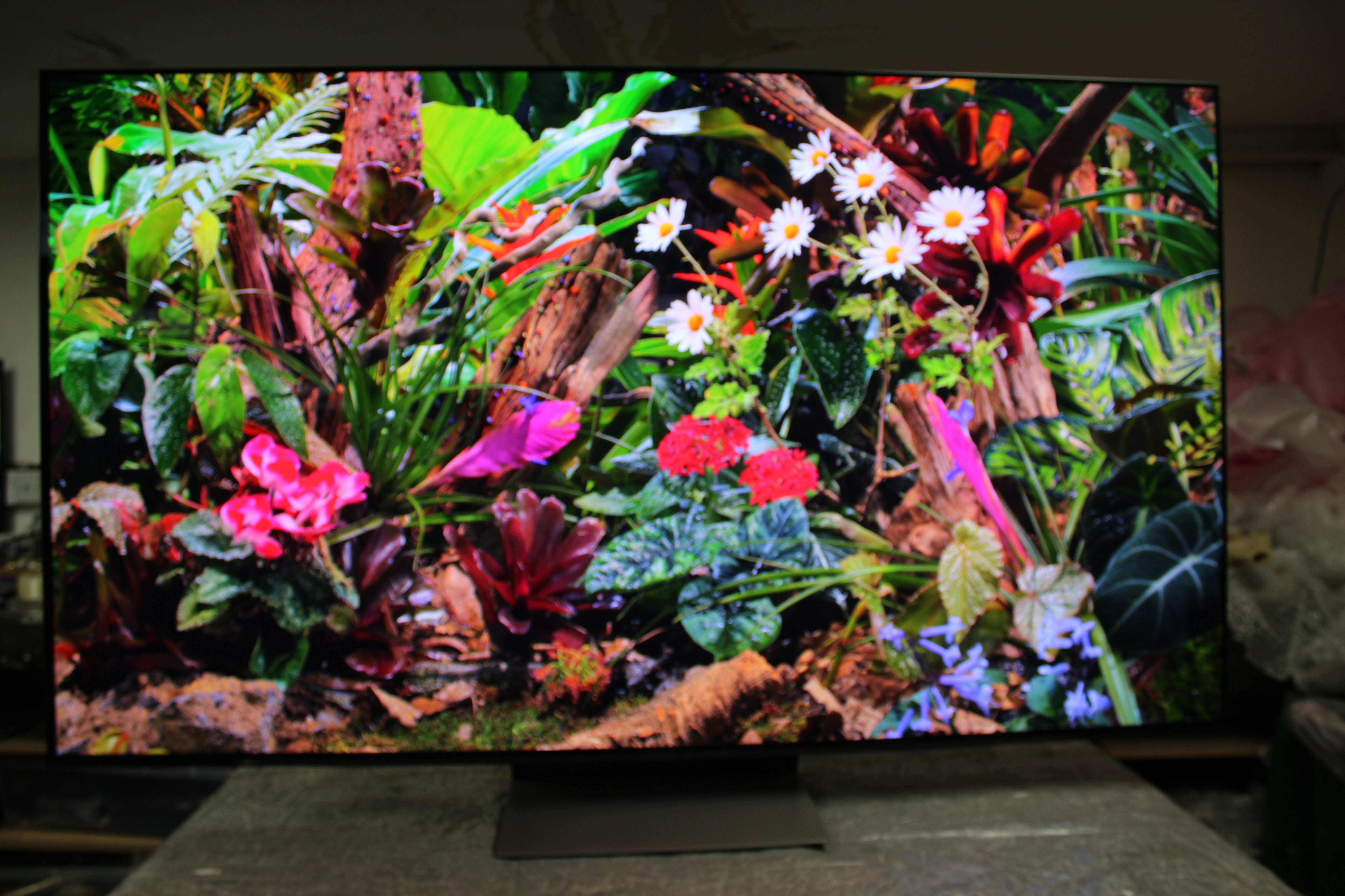65" Samsung QE65S90F Flagship 4K HDR OLED TV