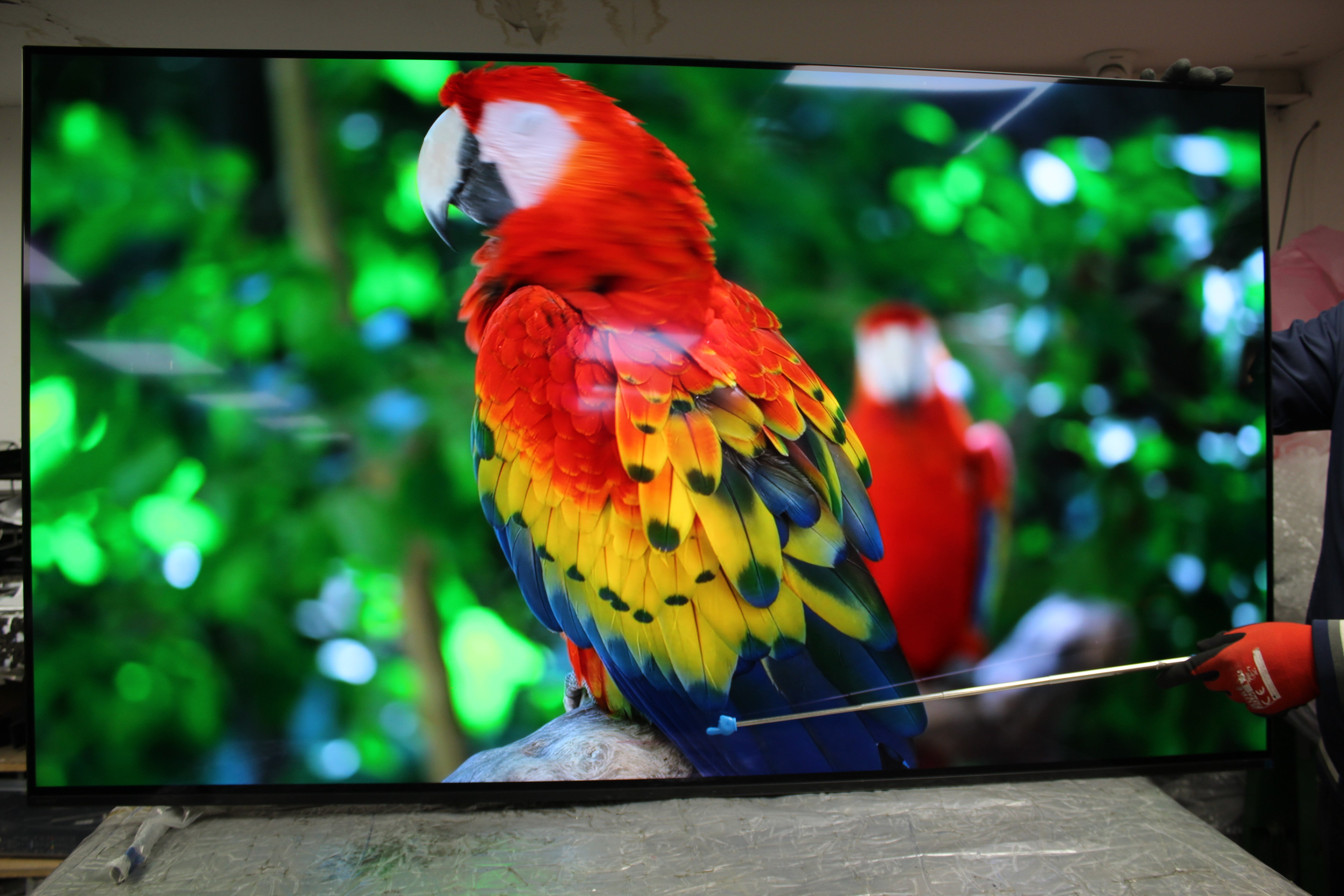 65" Sony Bravia XR65A84KU 4K HDR Google Smart OLED TV