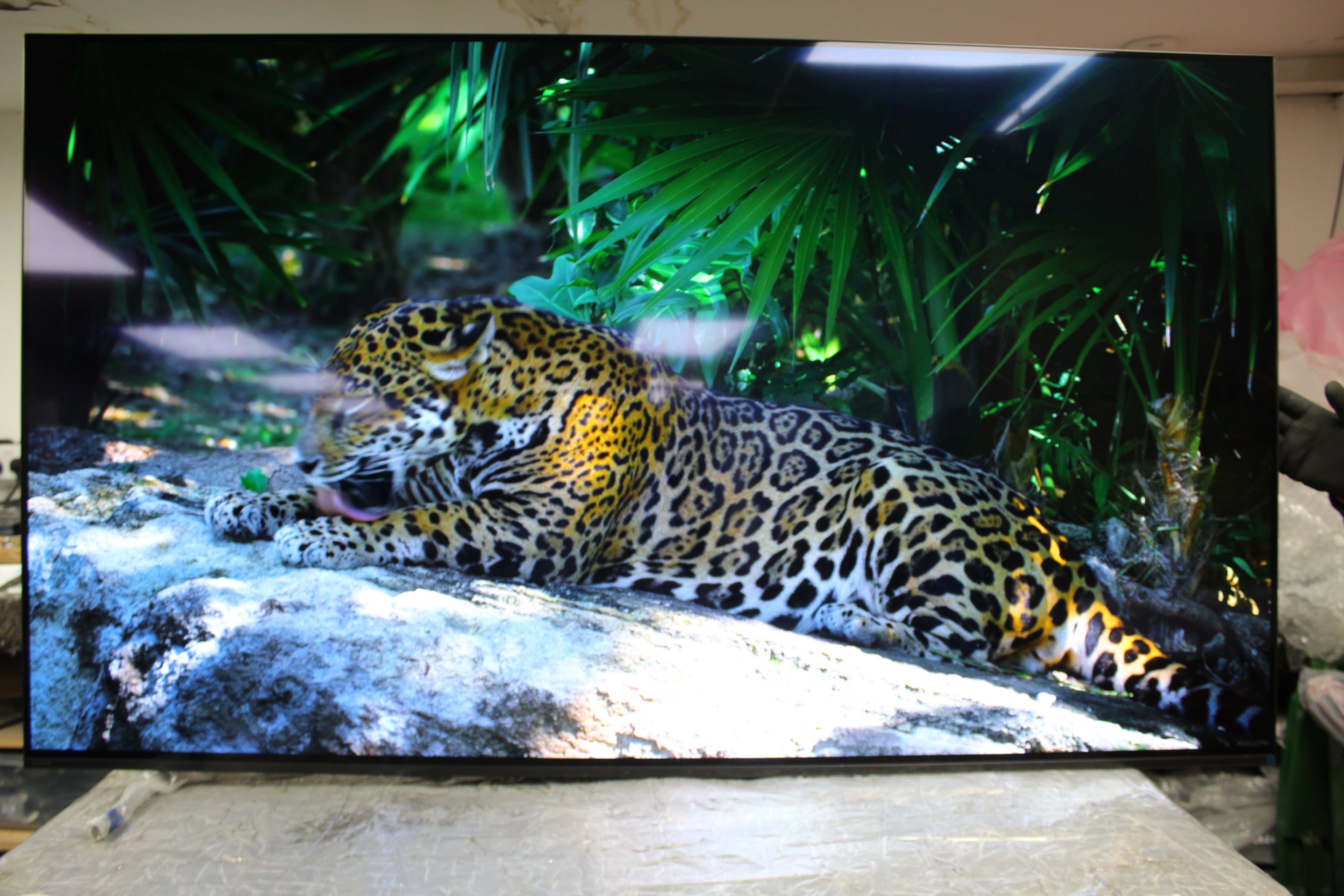 65" Sony Bravia XR65A84KU 4K HDR Google Smart OLED TV