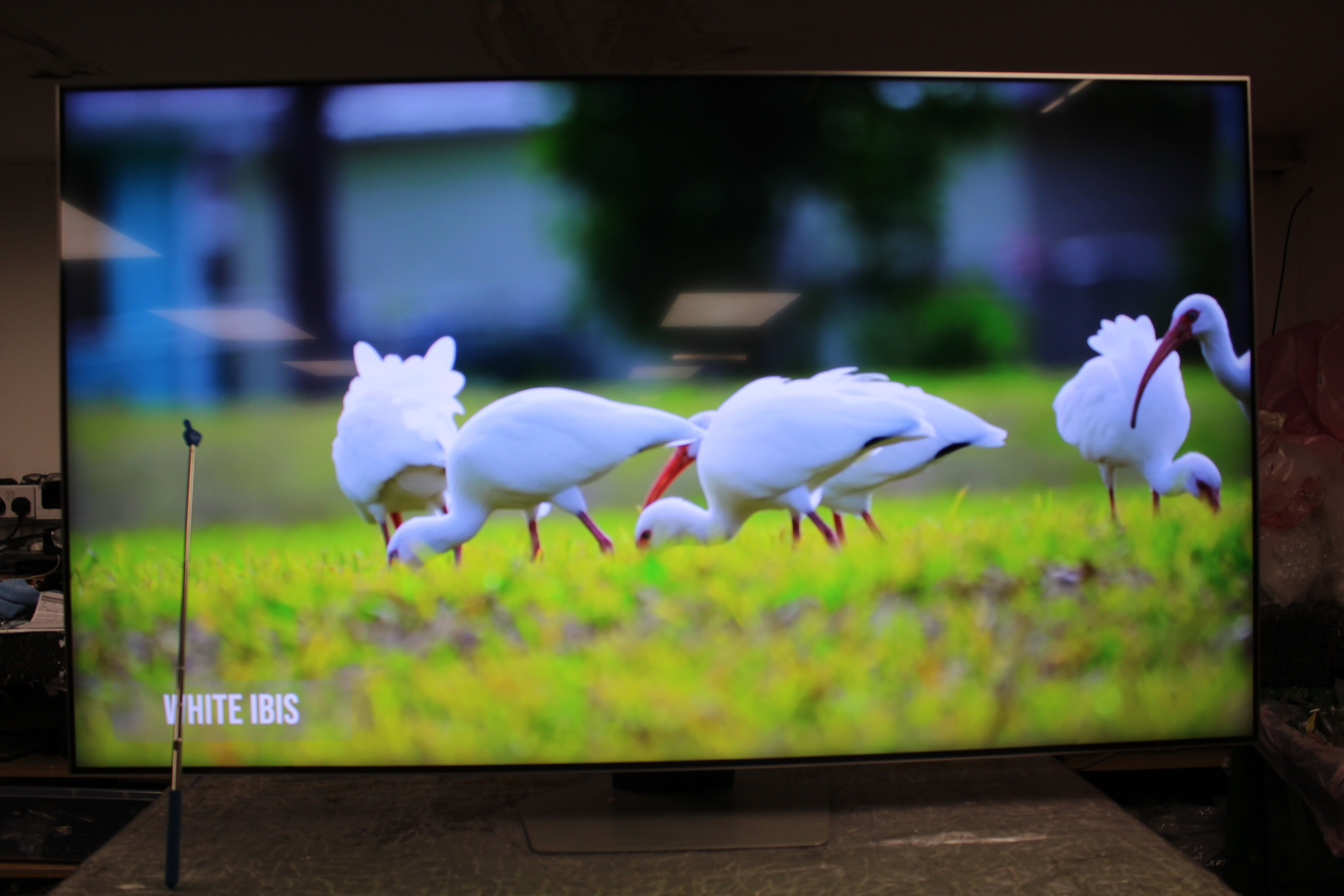 65" Samsung QE65QN85BATXXU Flagship 4K HDR Neo QLED TV