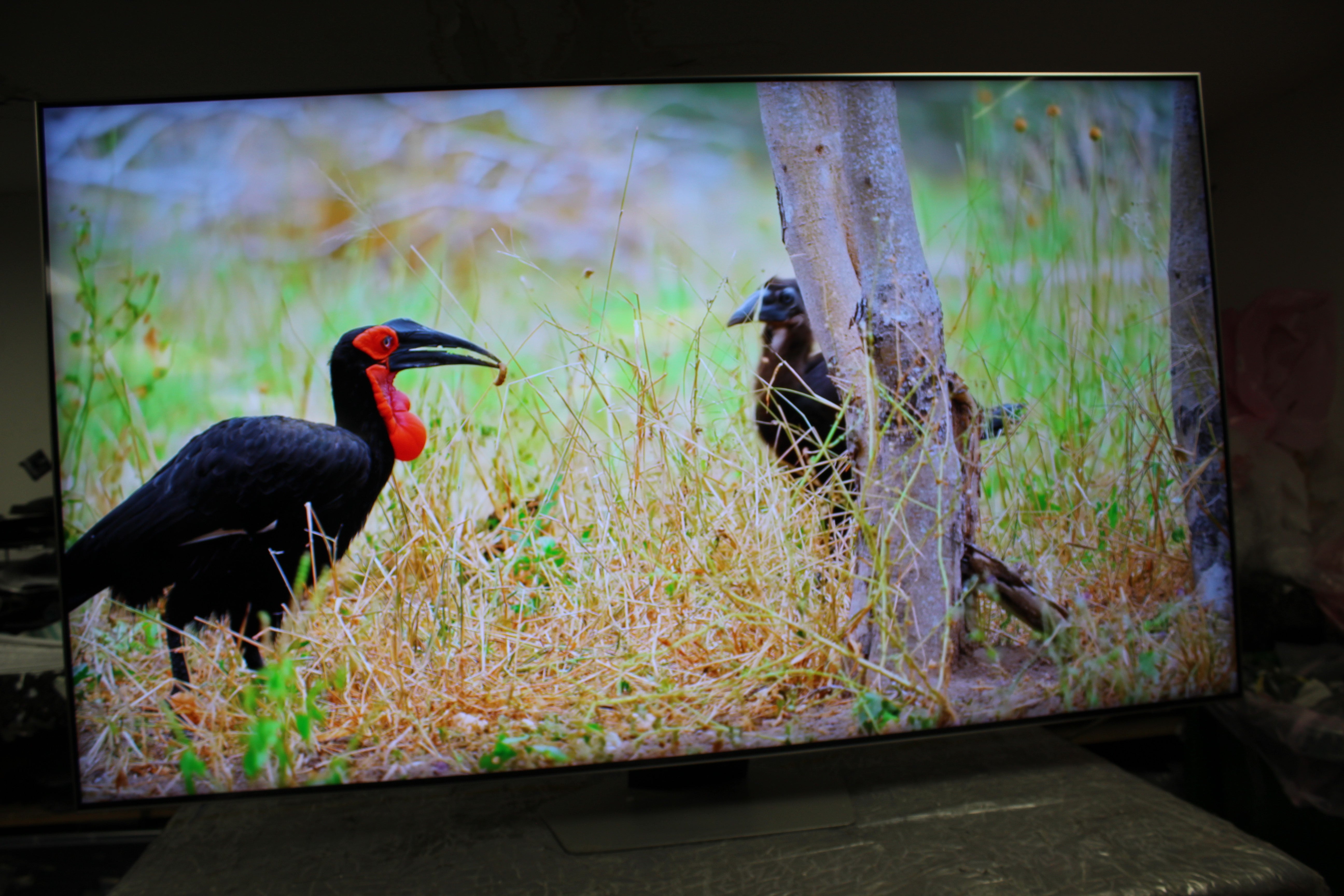 65" Samsung QE65QN85BATXXU Flagship 4K HDR Neo QLED TV