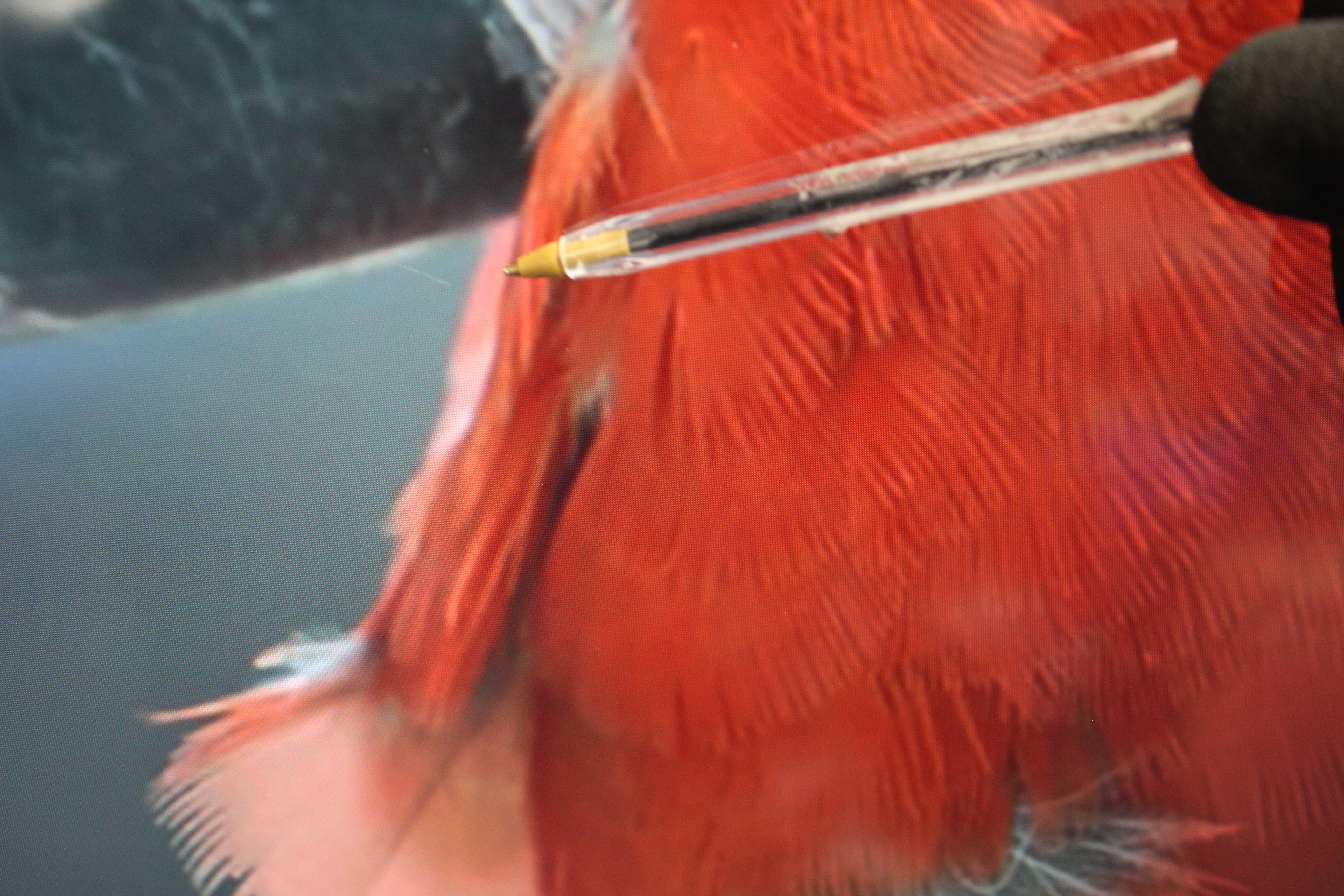 65" Sony Bravia KD65XG8096BU 4K HDR Android Smart LED TV