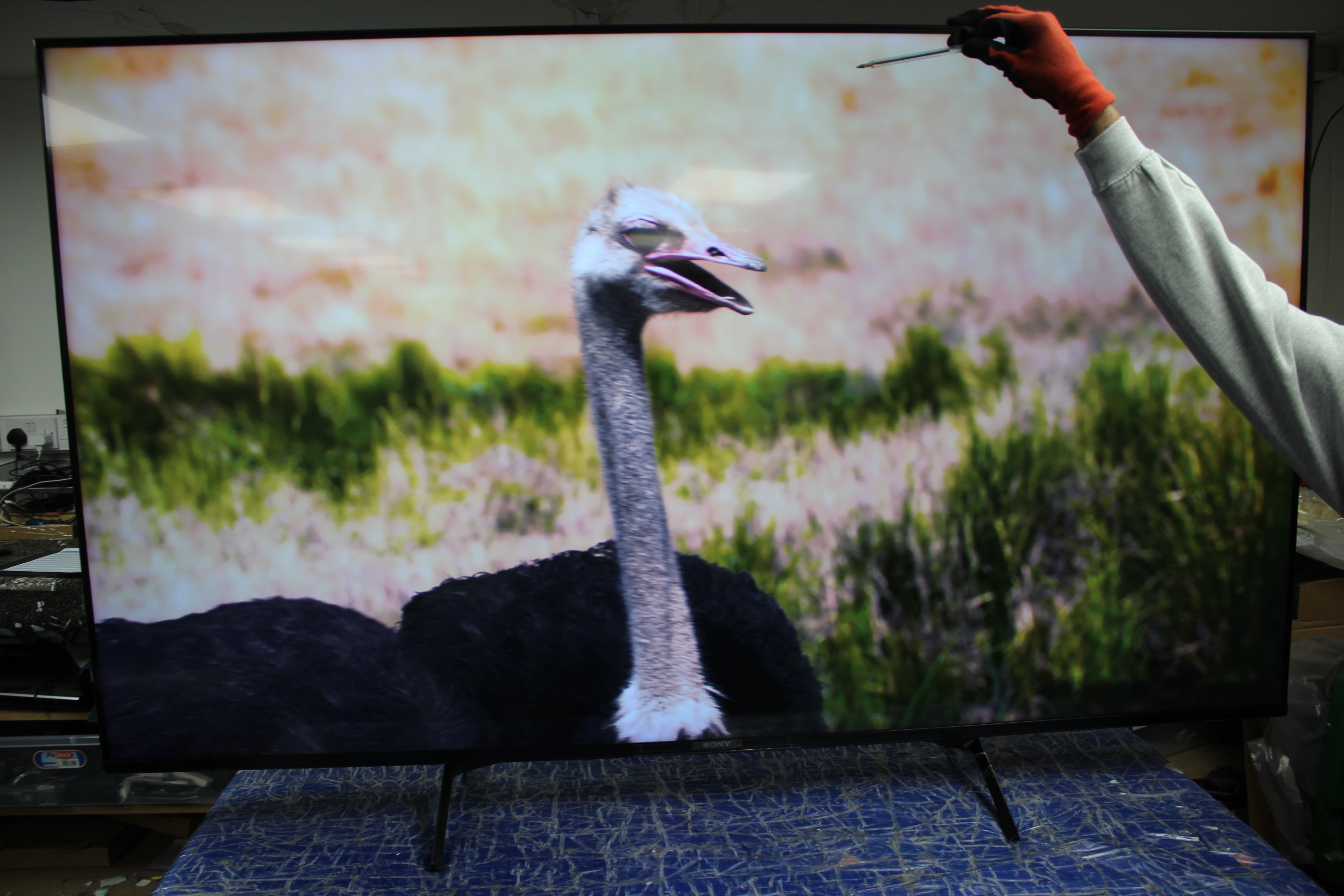 65" Sony Bravia KD65X85JU 4K HDR LED Google TV - Electronic World TV