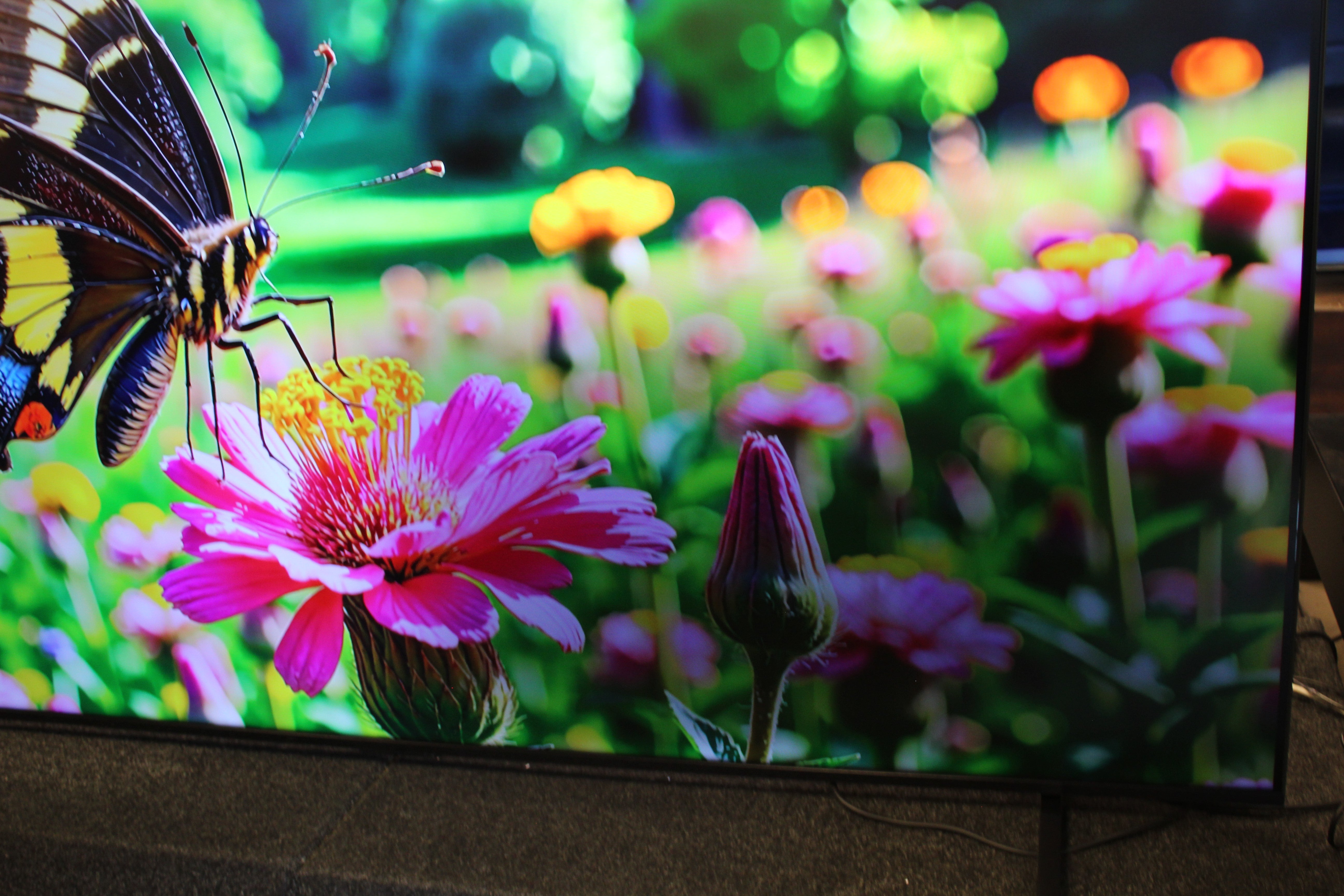 100" Hisense 100E7QTUK PRO Premium 4K HDR Smart Mini LED TV