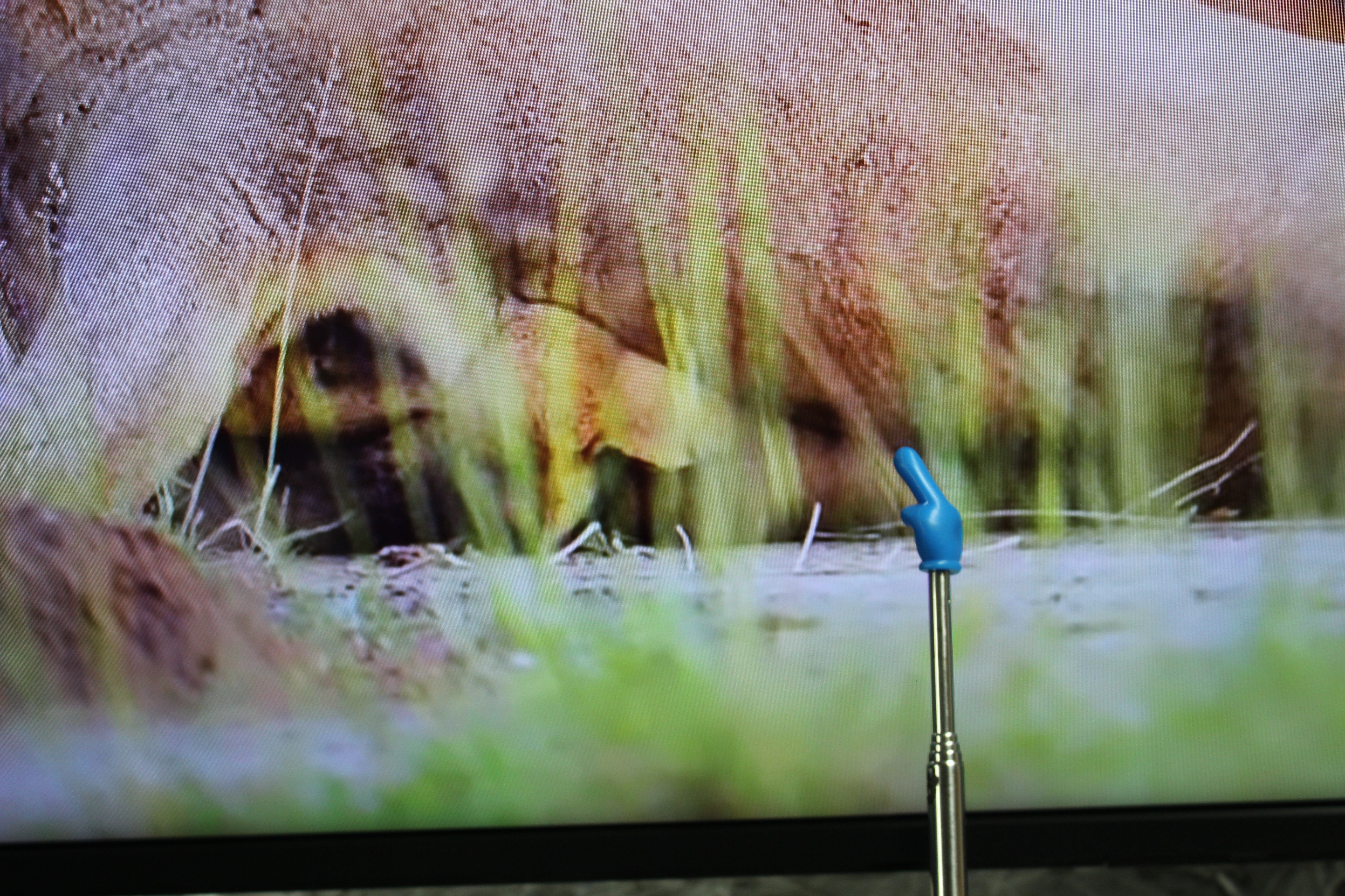 65" Sony Bravia KD65XH8096BU 4K Ultra HD Android Smart LED TV