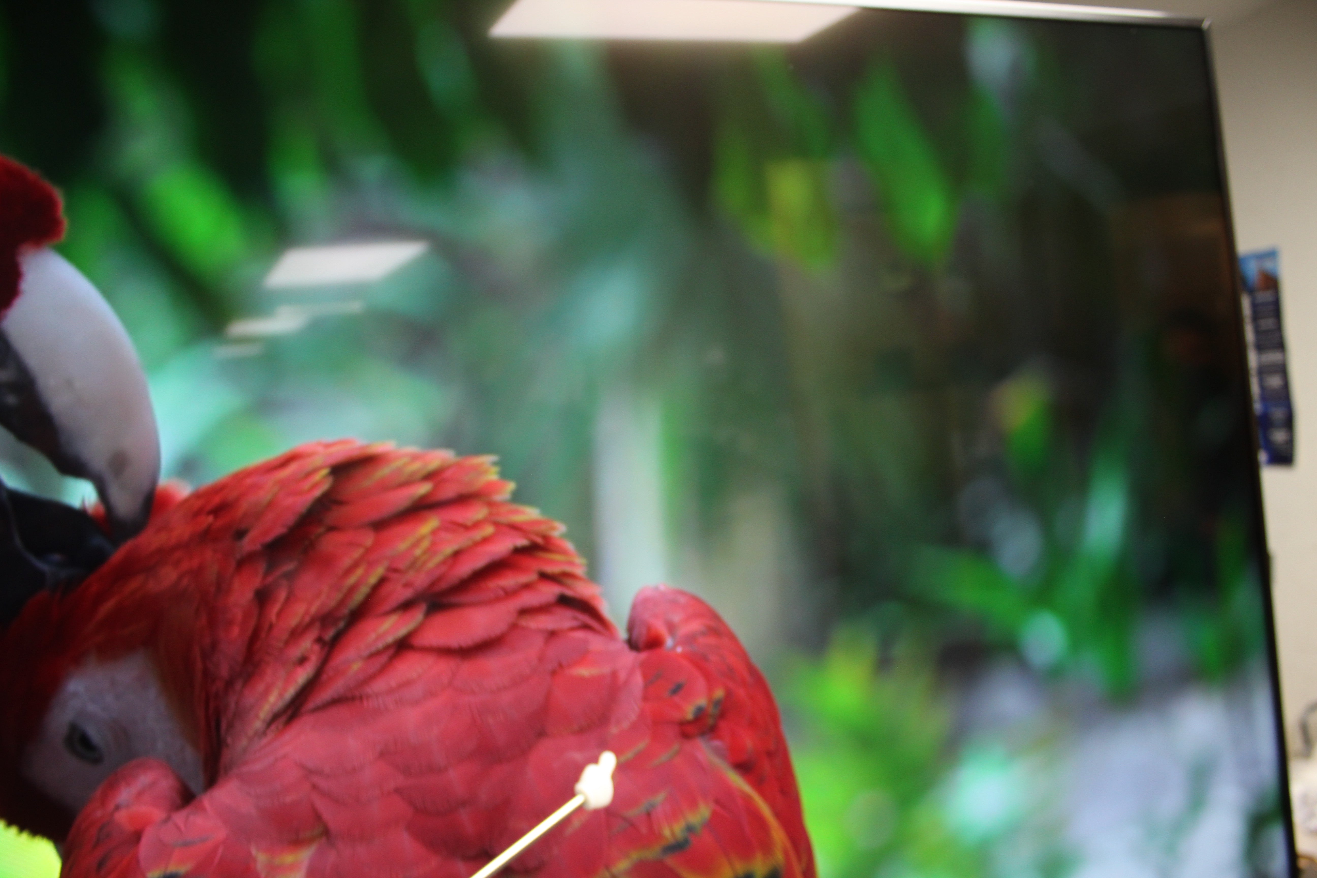 65" Sony Bravia KD65XG8796BU 4K Ultra HD Android Smart LED TV