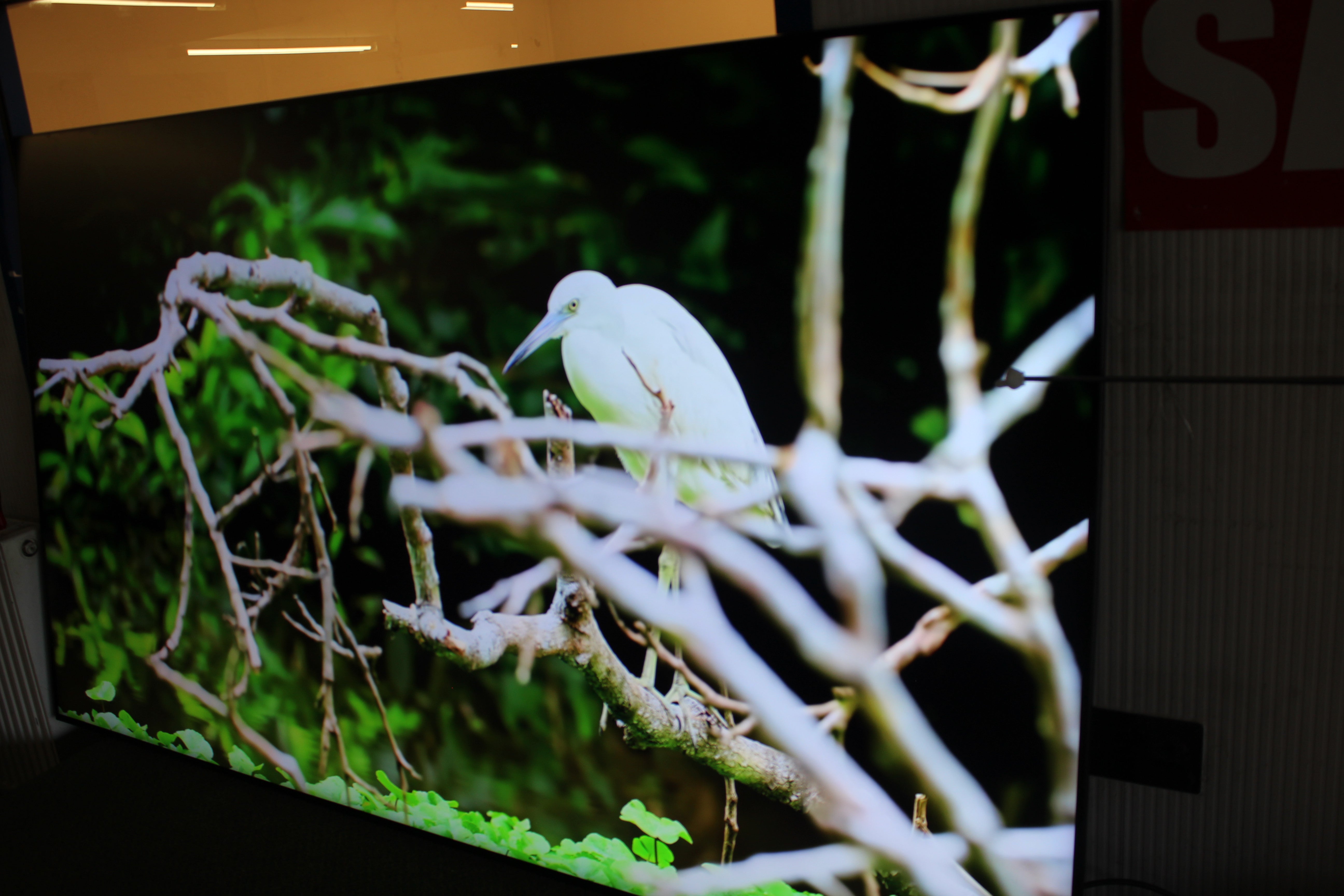 85" Samsung QE85QN90F Flagship 4K HDR Neo QLED TV