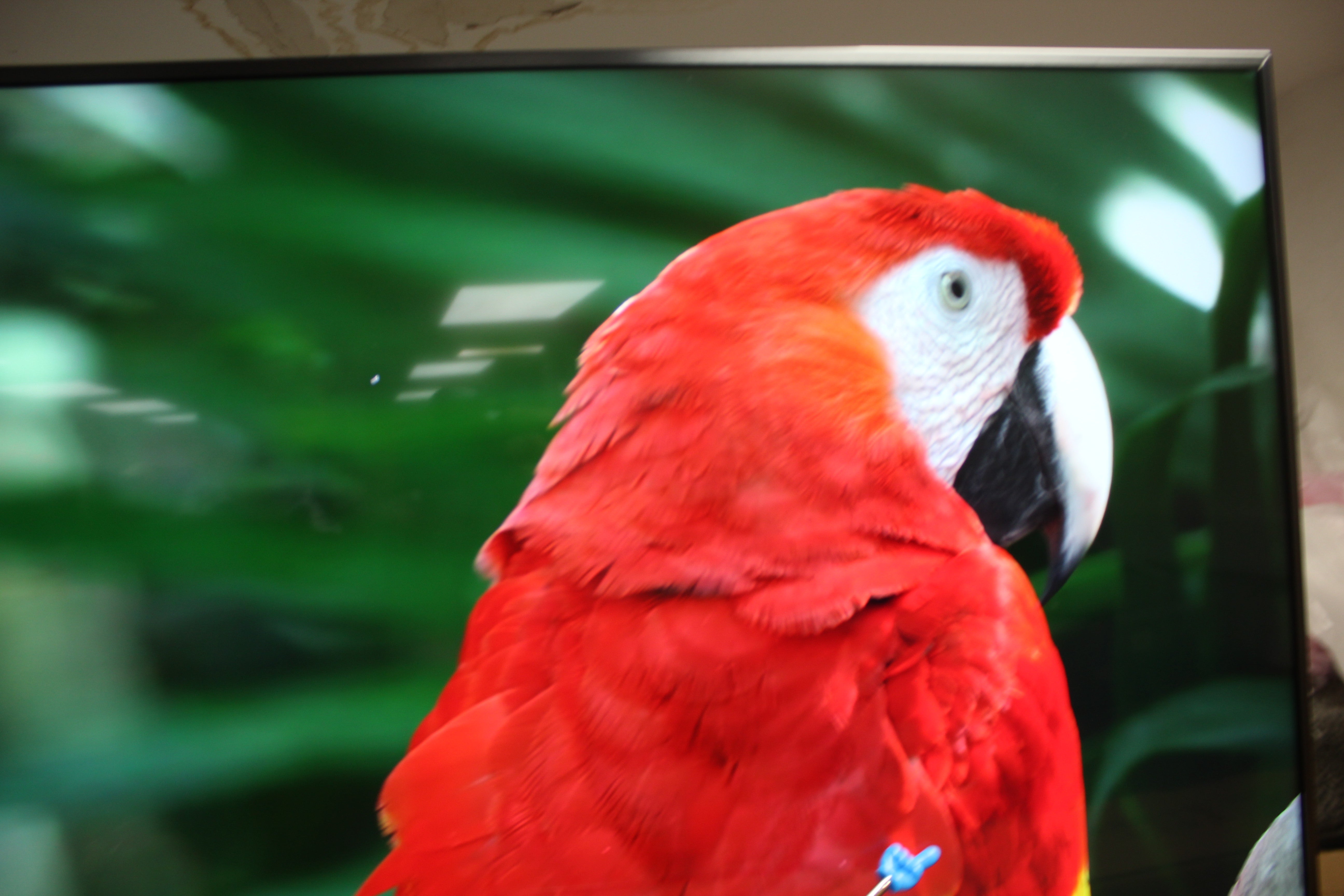 55" Sony KD55XF7596BU 4K Ultra HD HDR Android Smart LED TV