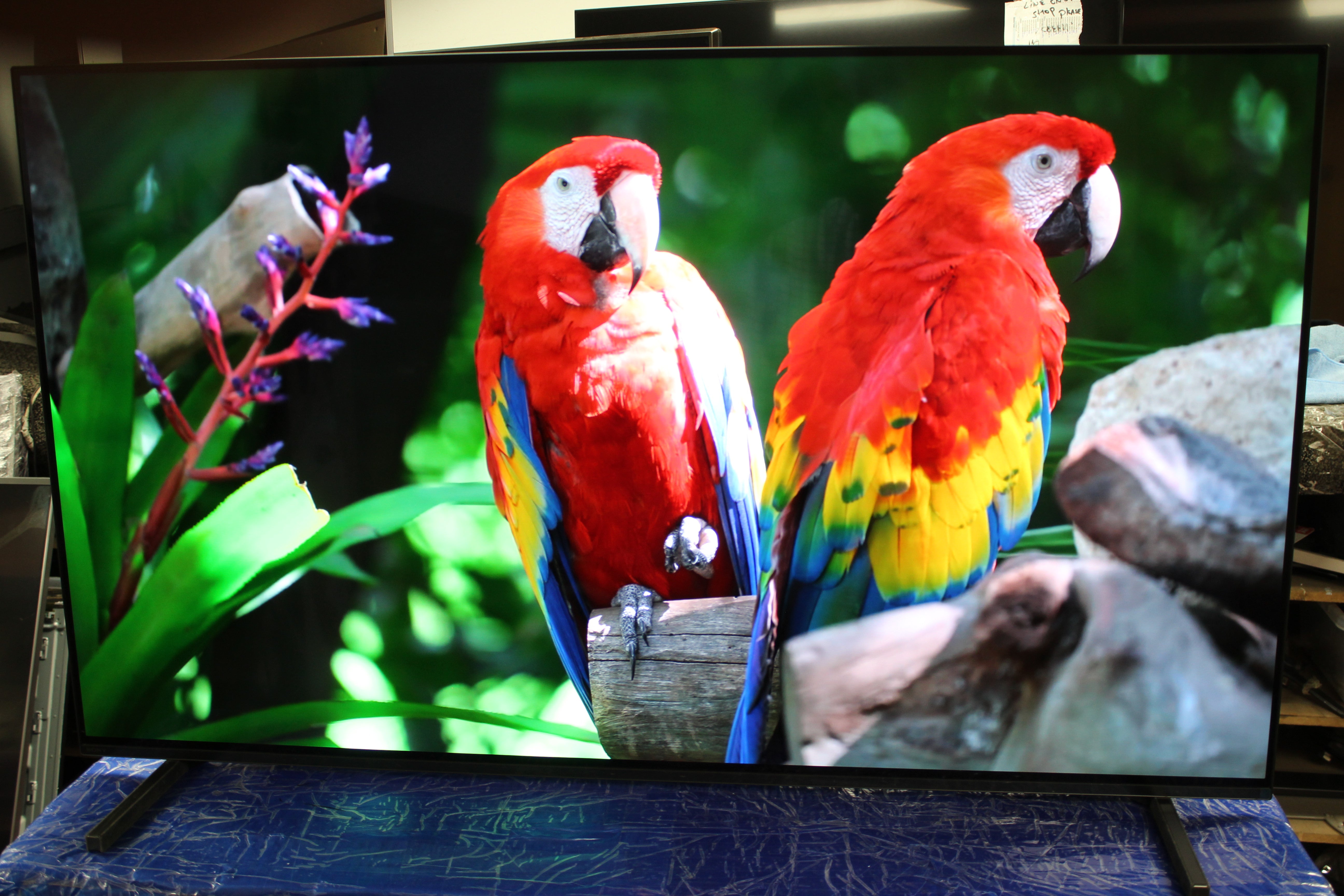 55" Sony Bravia XR55A80JU 4K HDR Google Smart OLED TV